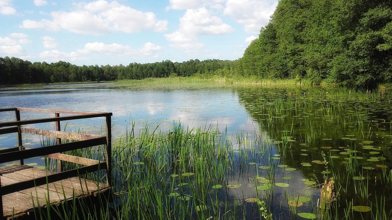 Powidzkie wśród najczystszych