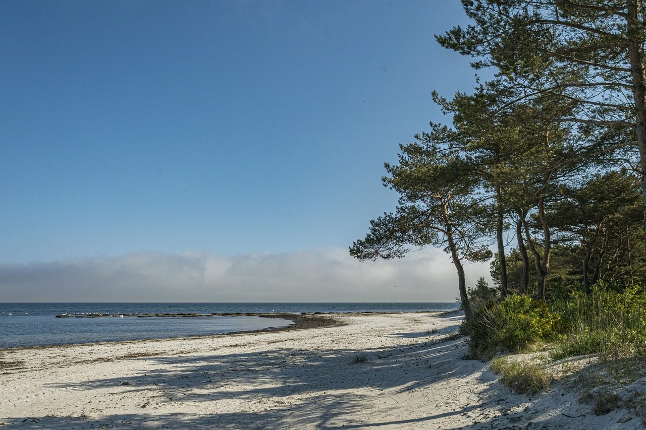 Ukryta plaża nad Bałtykiem