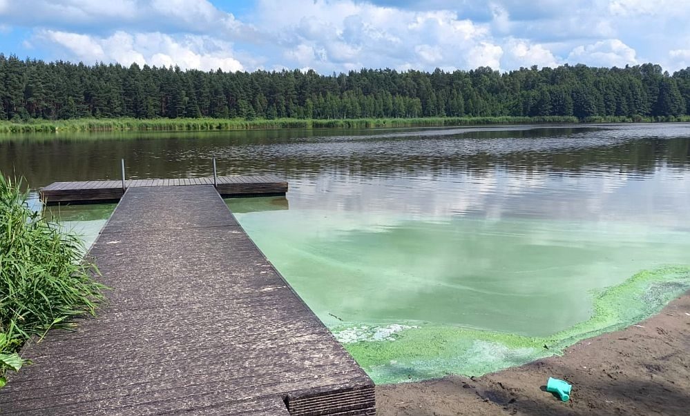 Zilaļģu savairošanās dēļ aicina iedzīvotājus nepeldēties Daugavā pie Salaspils