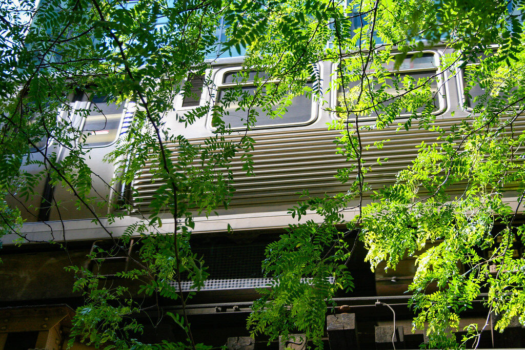 Family seeks witnesses after Red Line killing
