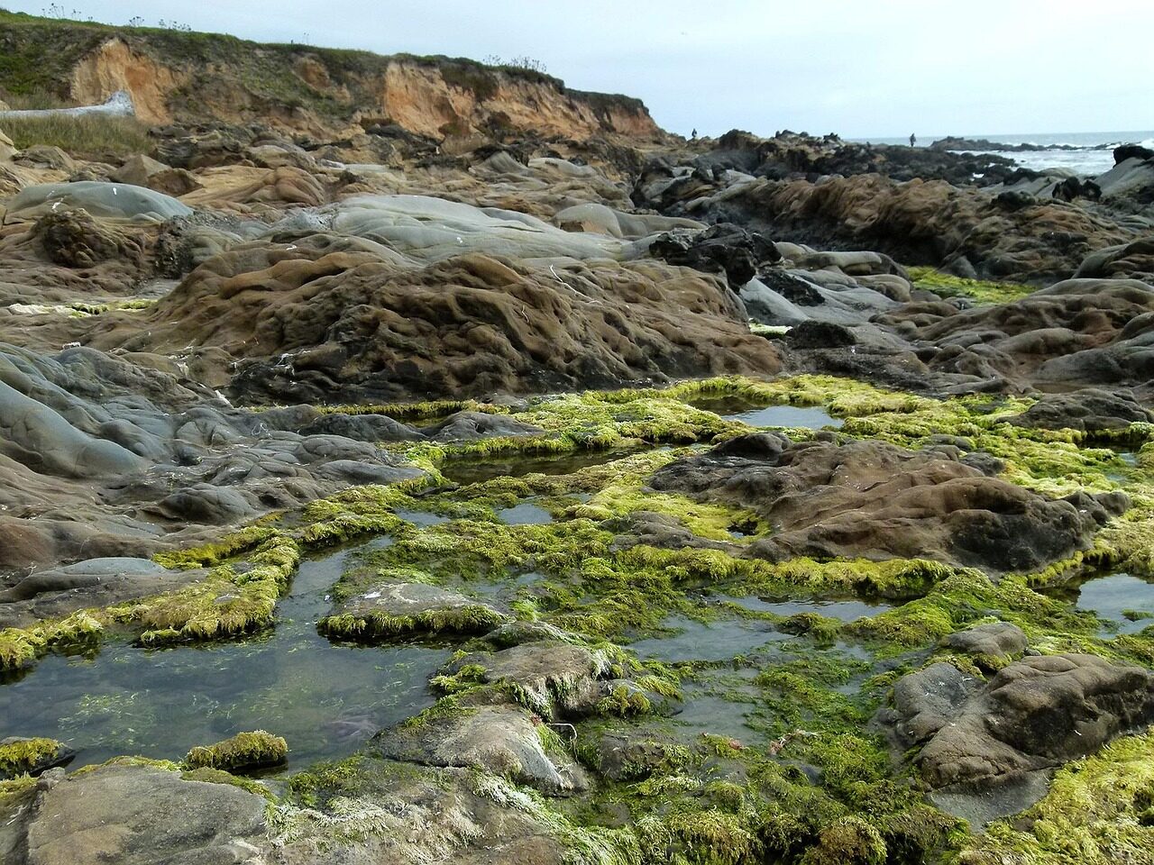 Kelvin wave may worsen SoCal coast damage