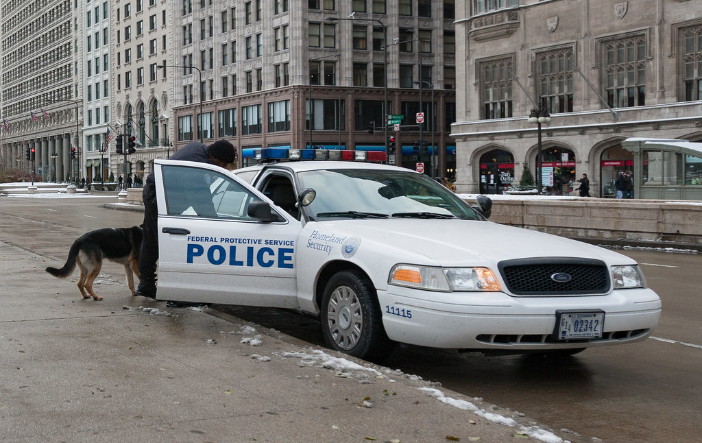 Chicago sues over green card rule Chicago sues over green card rule