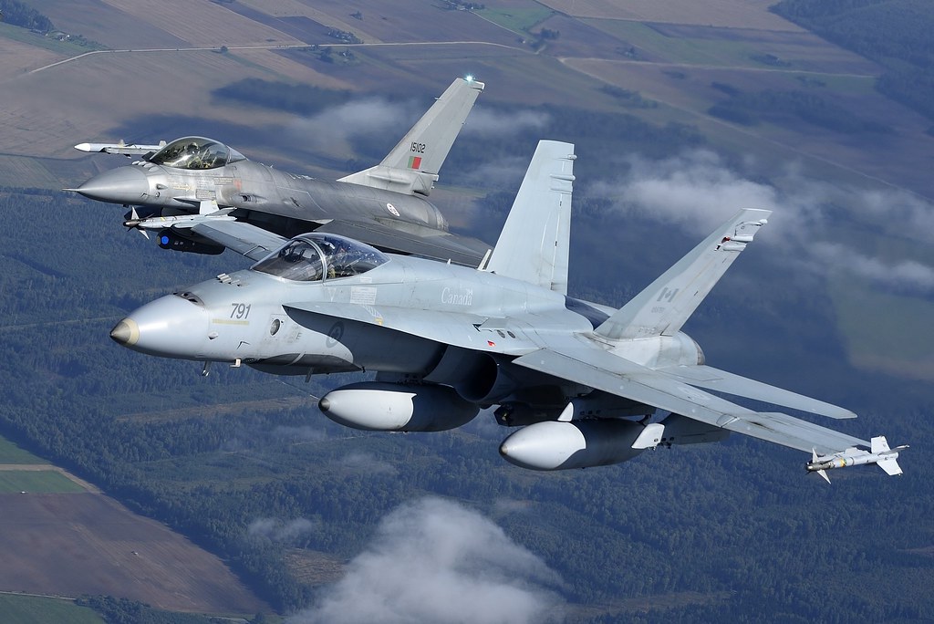 NATO numušė droną prie Pratkunų
