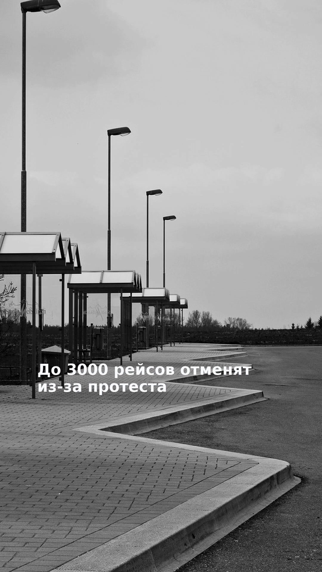 До 3000 рейсов отменят из-за протеста