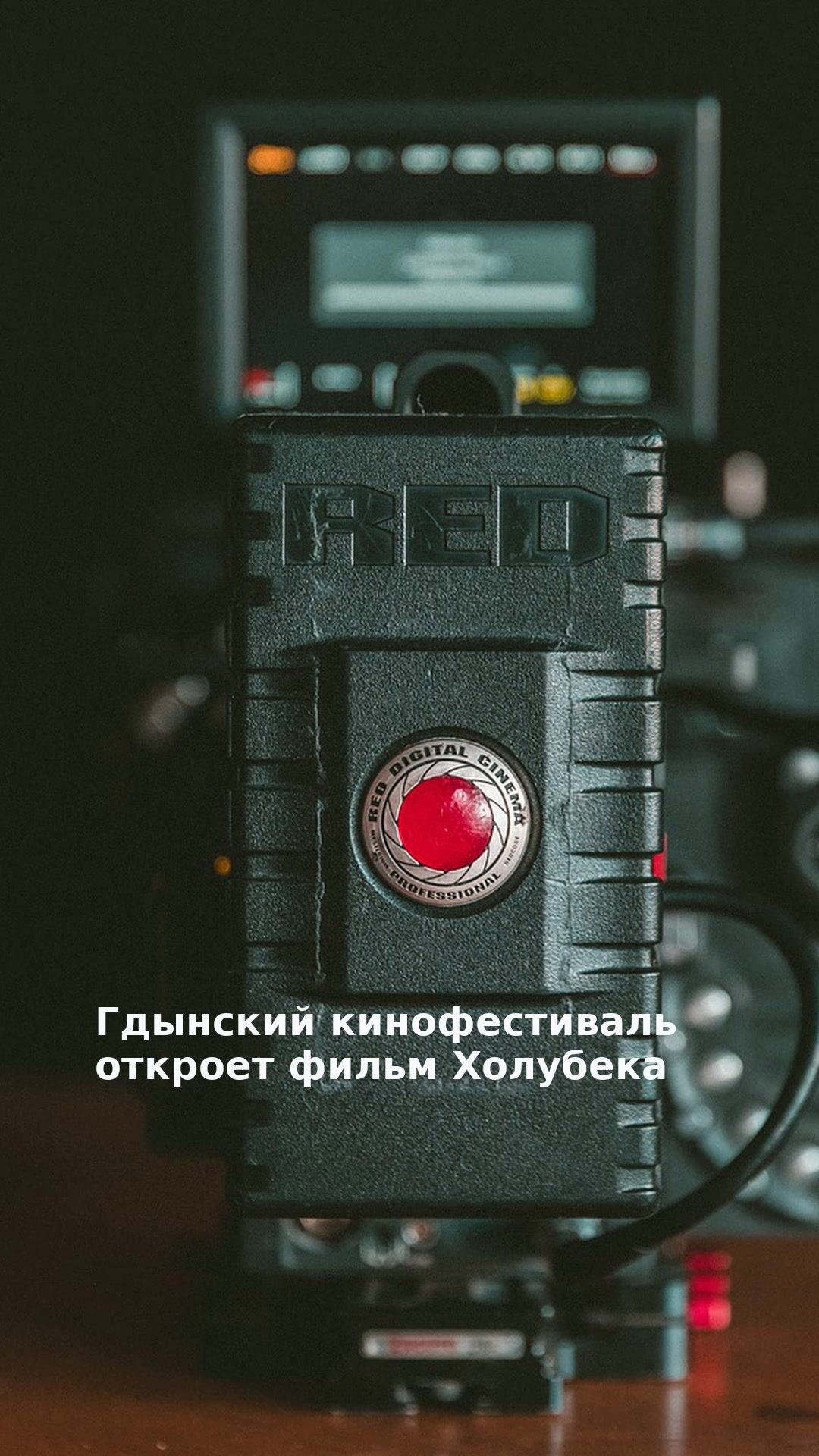 Гдынский кинофестиваль откроет фильм Холубека