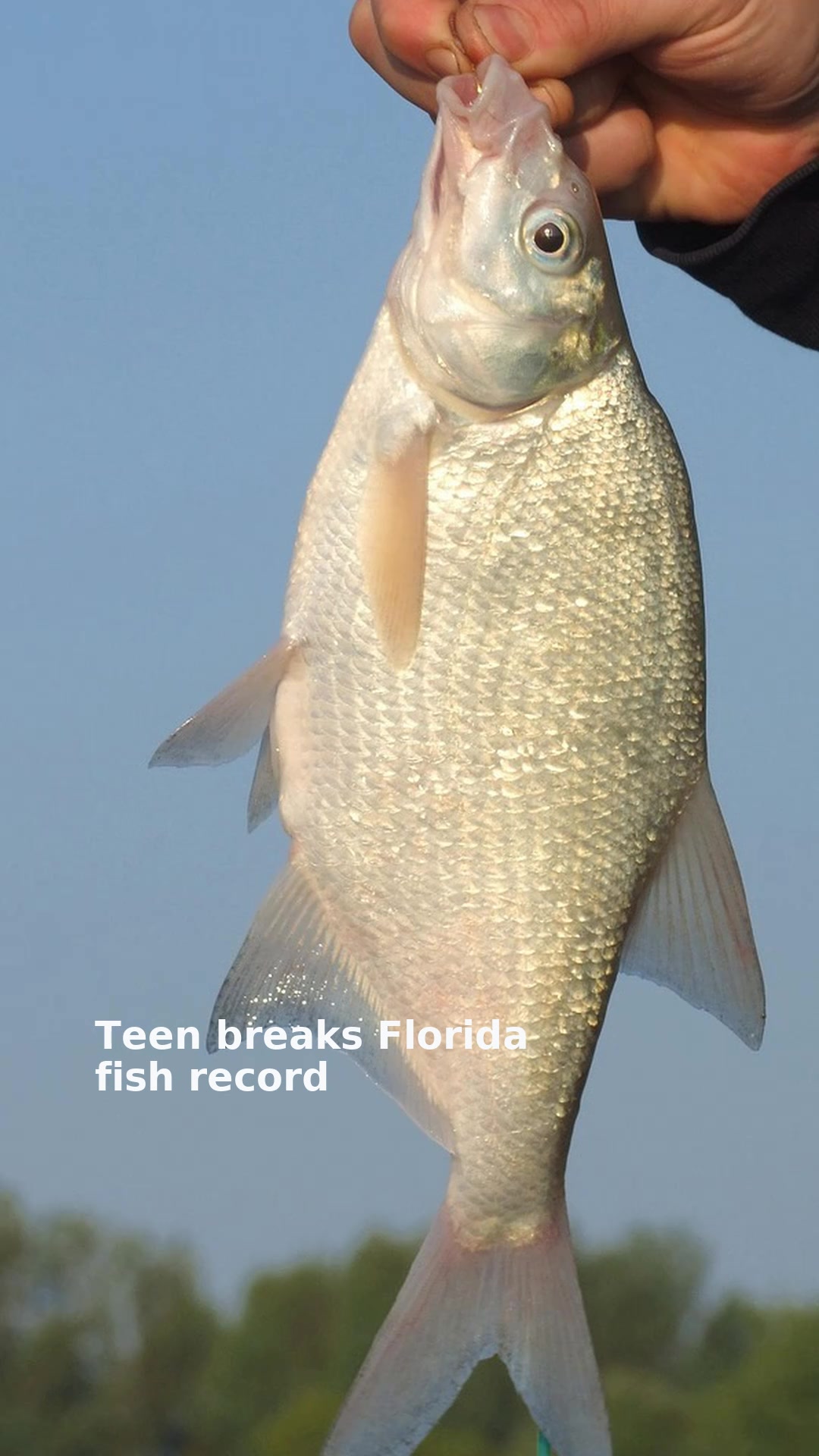 Teen breaks Florida fish record