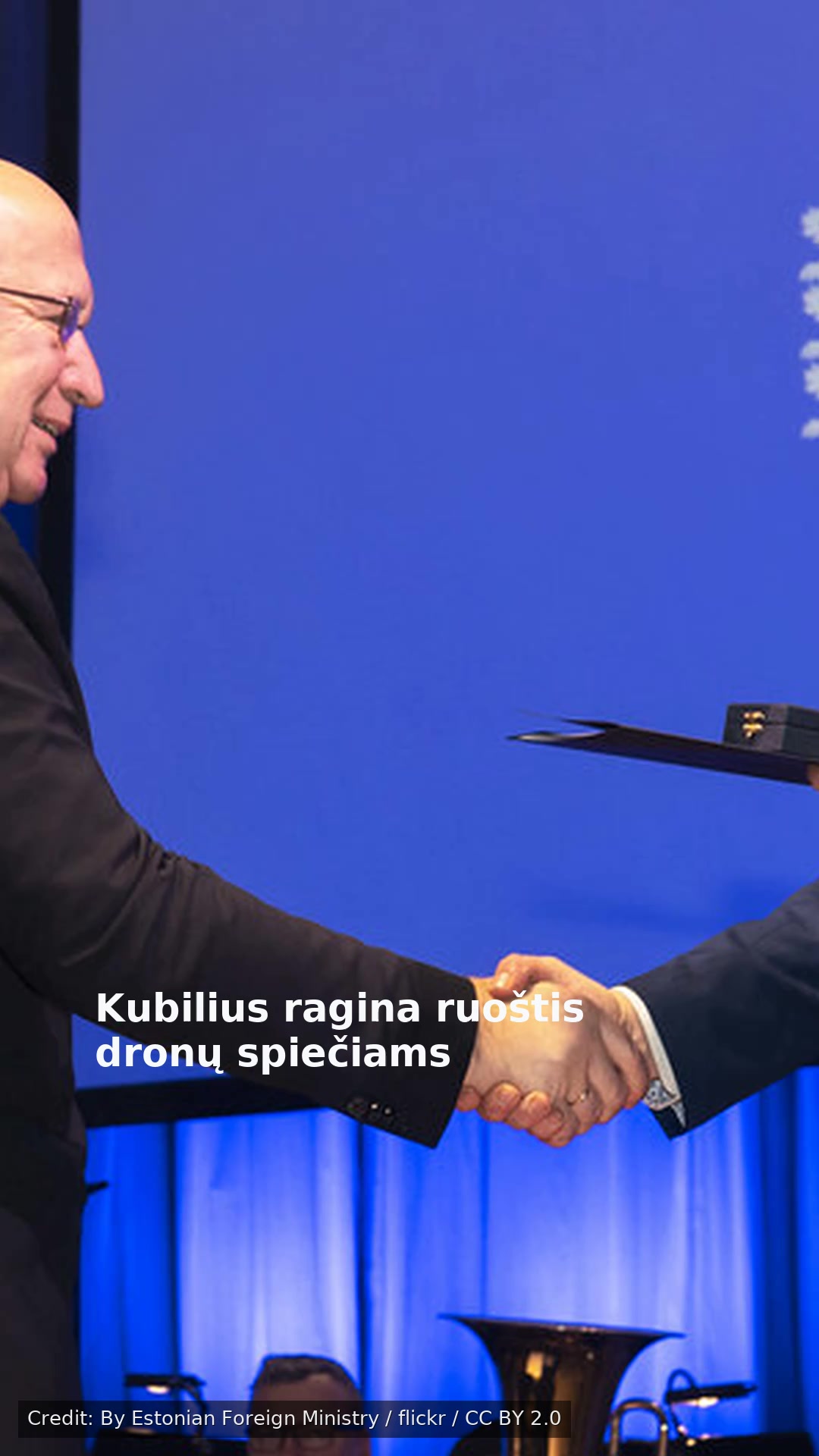 Kubilius ragina ruoštis dronų spiečiams