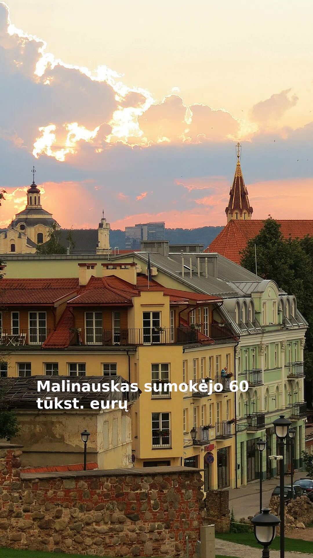 Malinauskas sumokėjo 60 tūkst. eurų