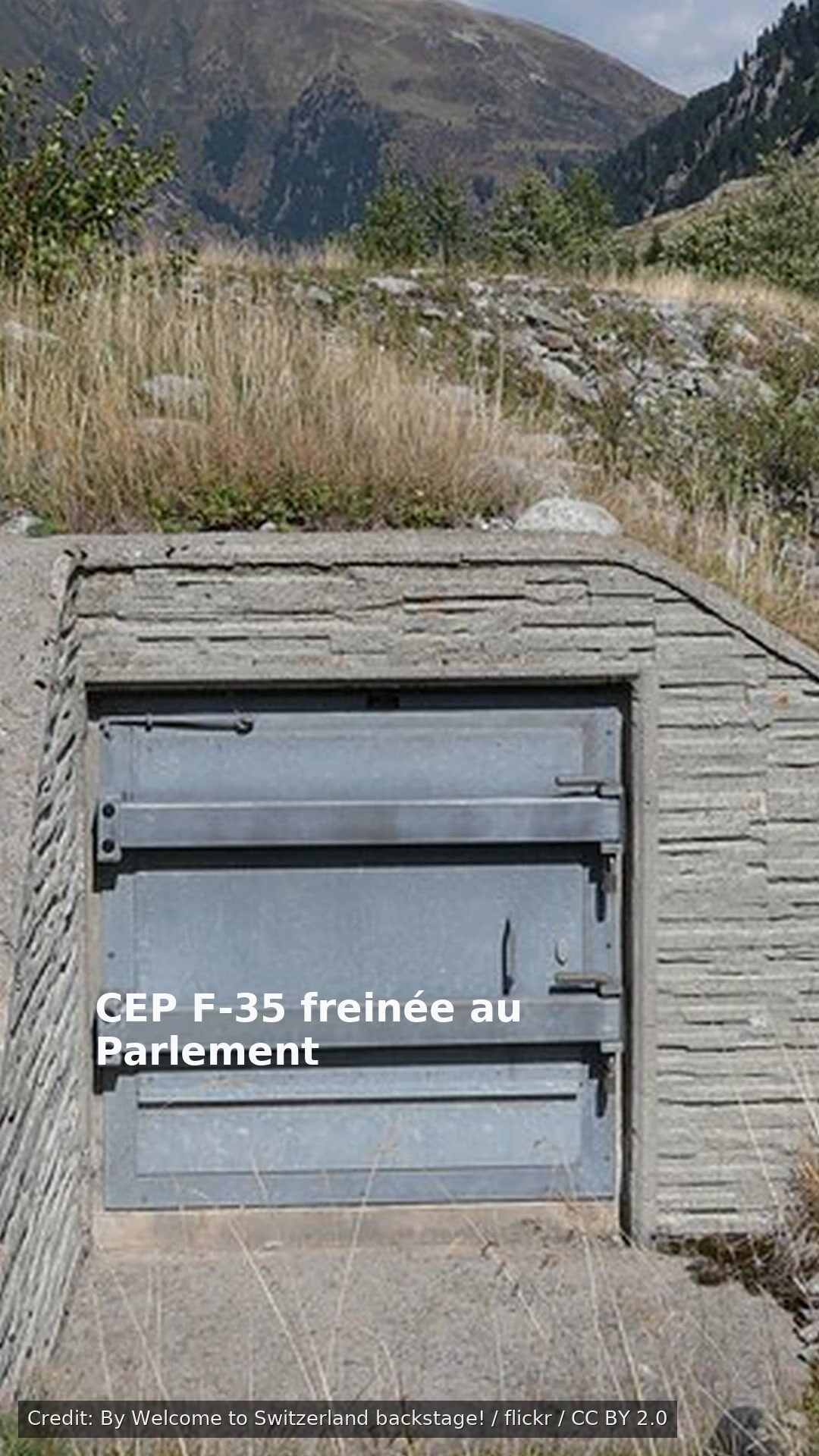 CEP F-35 freinée au Parlement