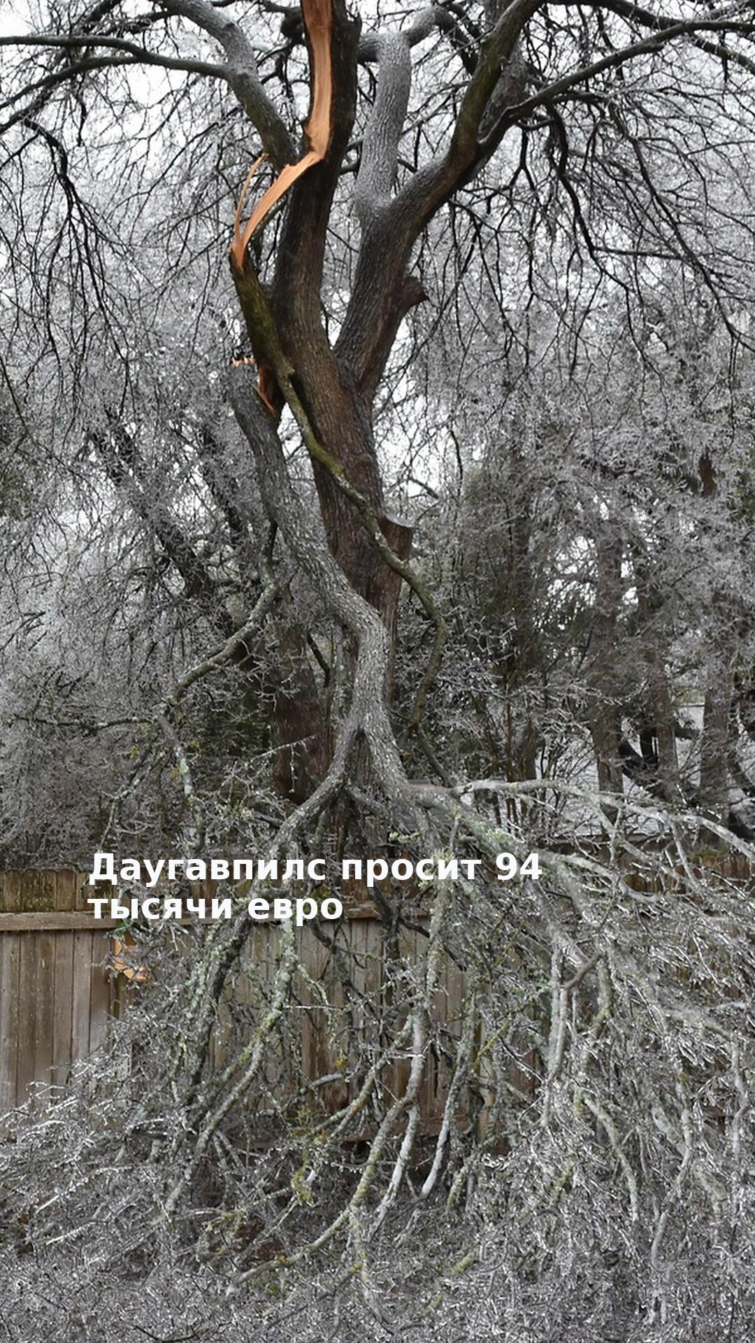 Даугавпилс просит 94 тысячи евро