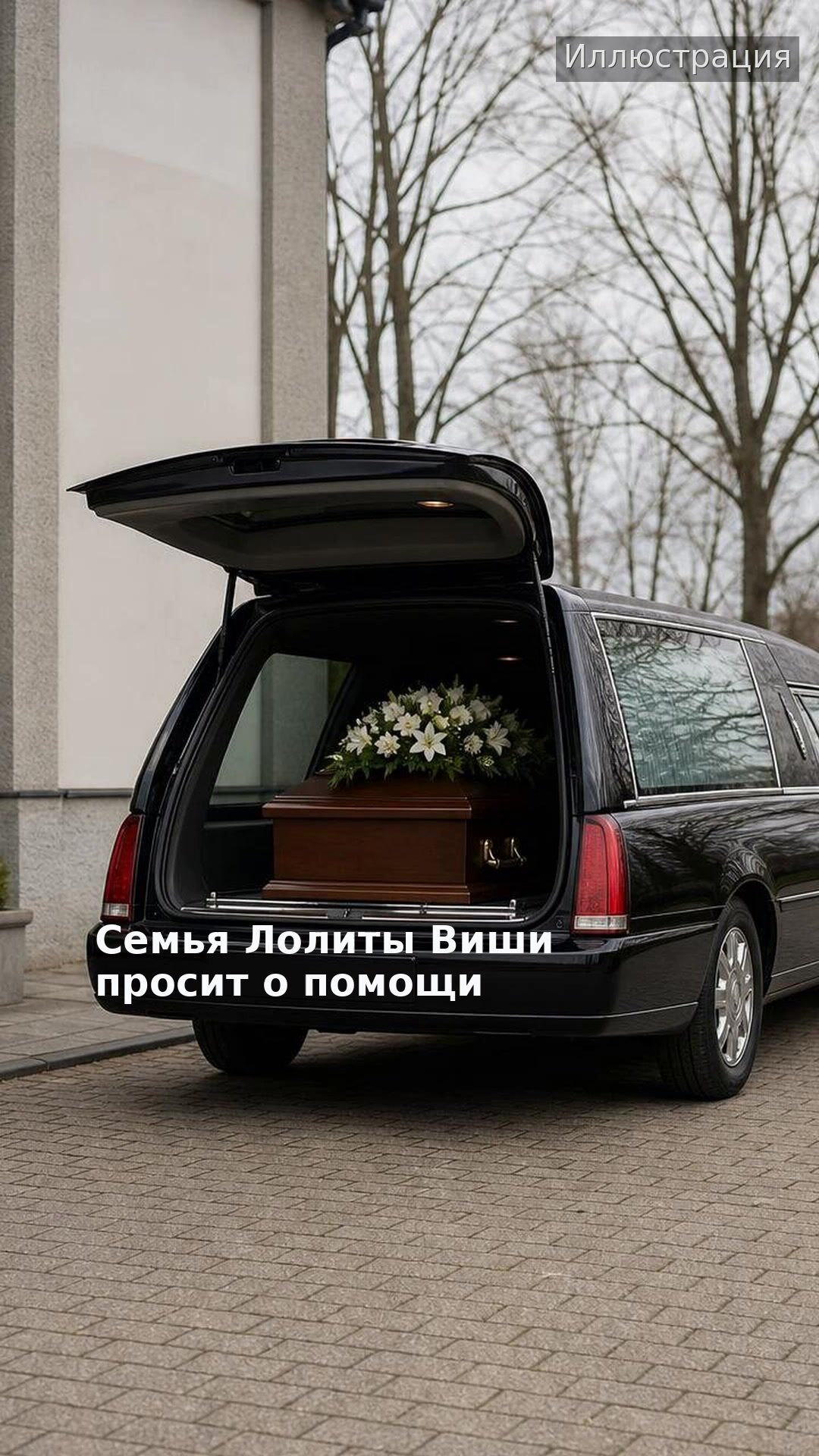 Семья Лолиты Виши просит о помощи