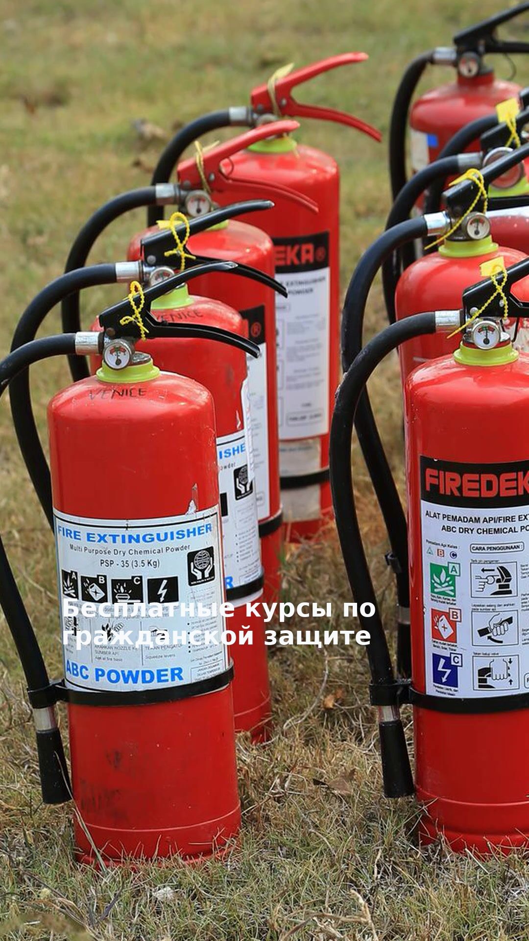 Бесплатные курсы по гражданской защите