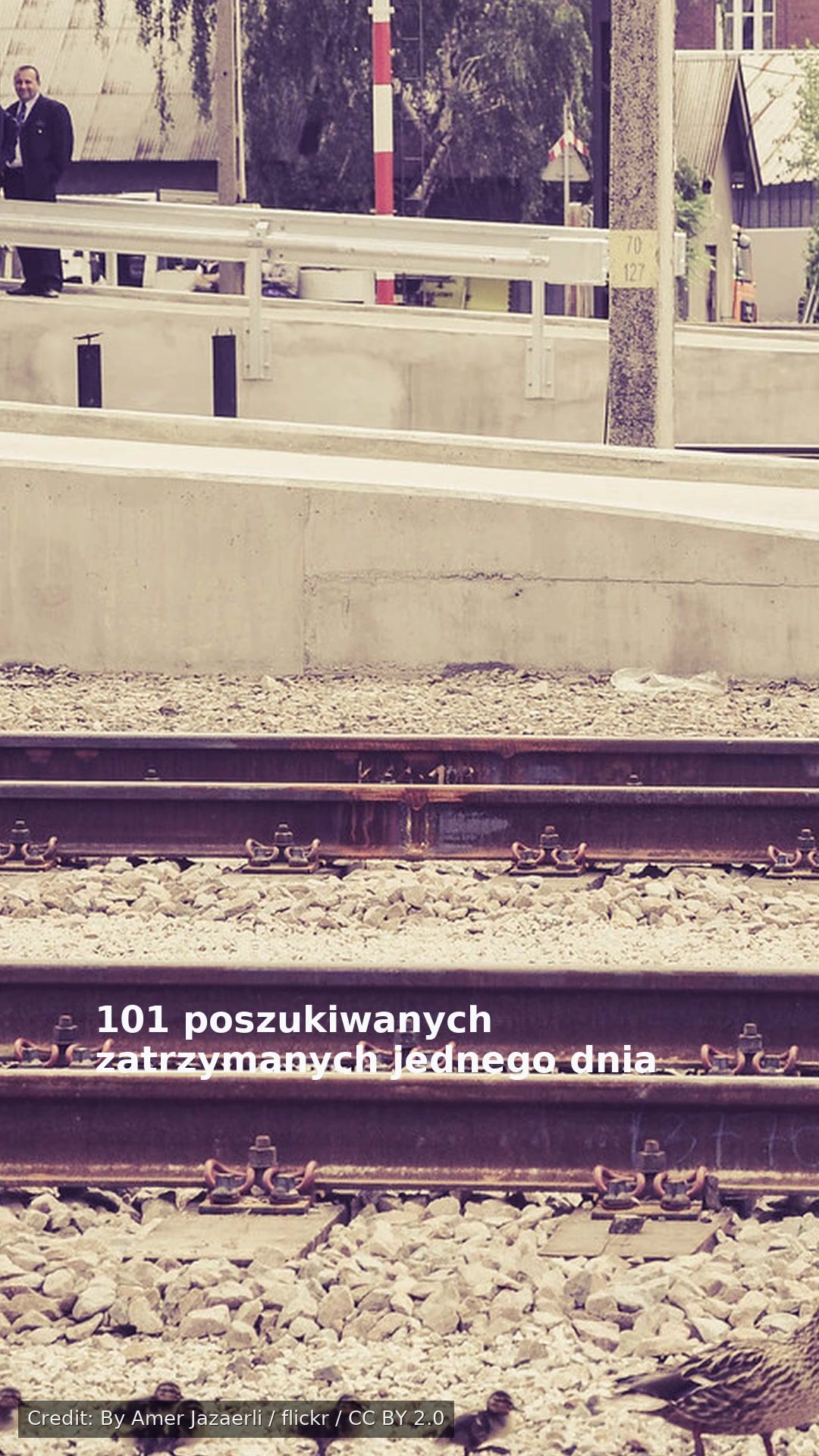 101 poszukiwanych zatrzymanych jednego dnia