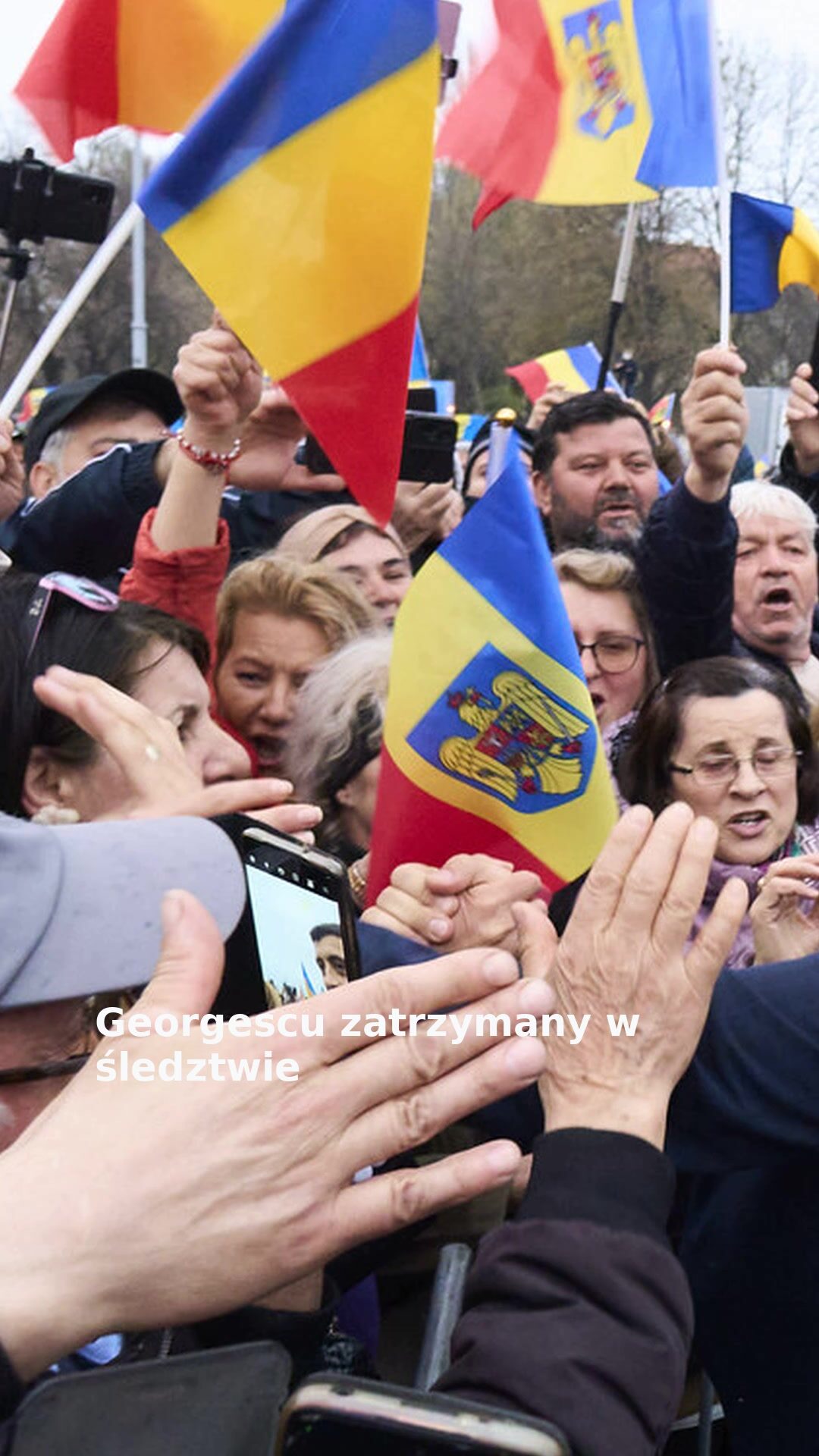 Georgescu zatrzymany w śledztwie