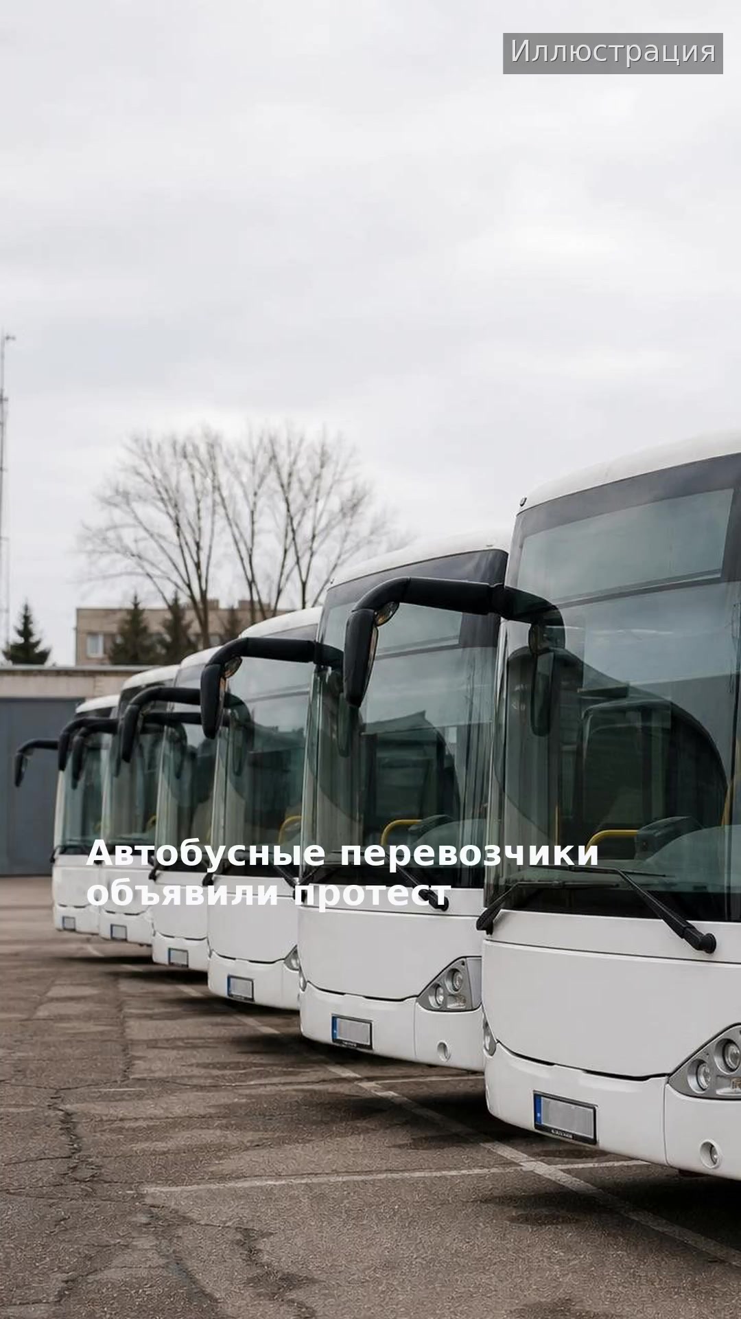 Автобусные перевозчики объявили протест