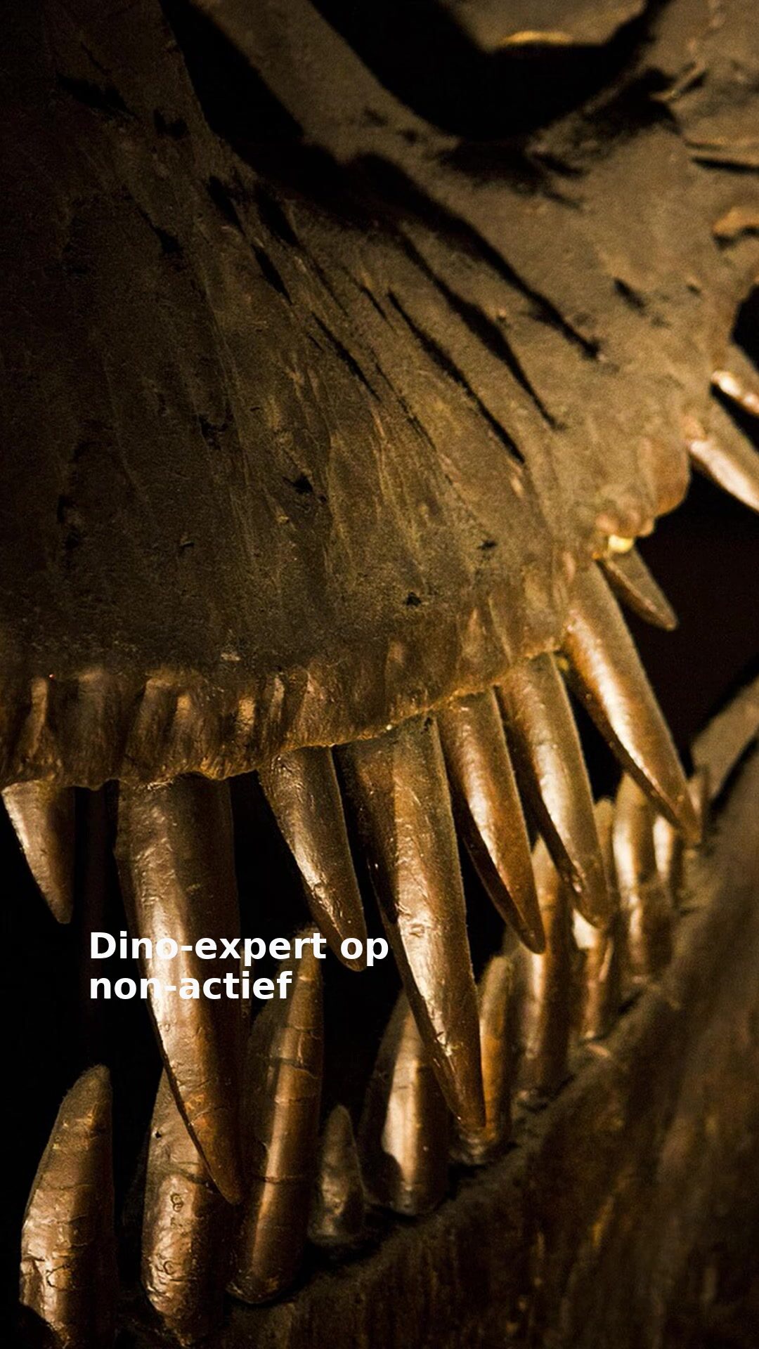 Dino-expert op non-actief