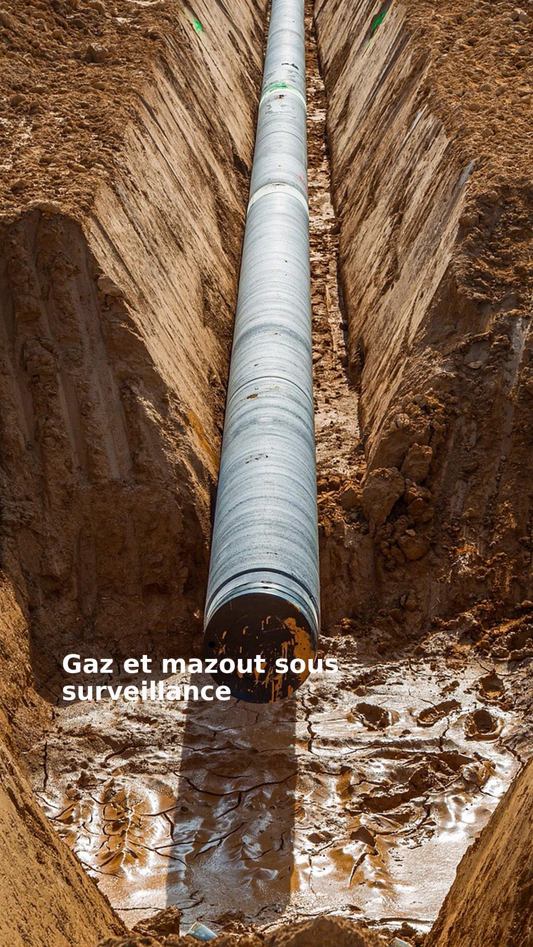 Gaz et mazout sous surveillance