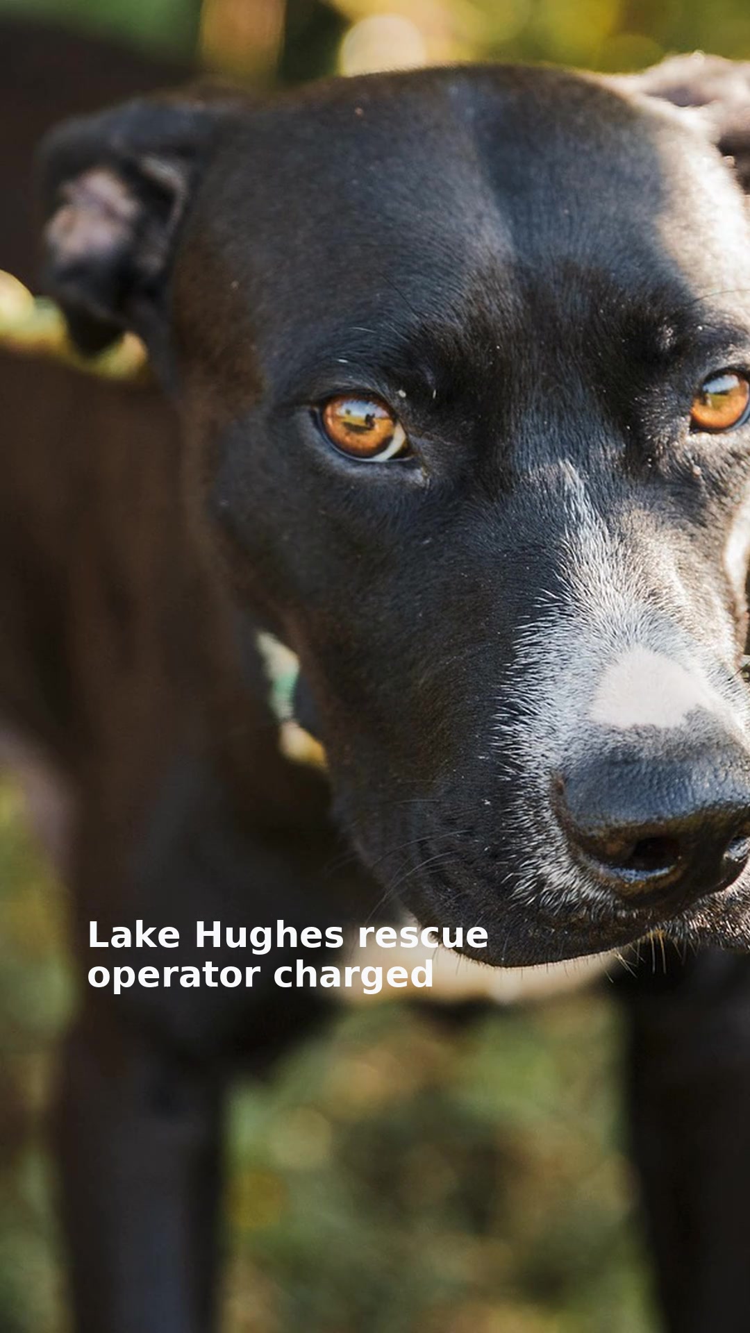 Lake Hughes rescue operator charged