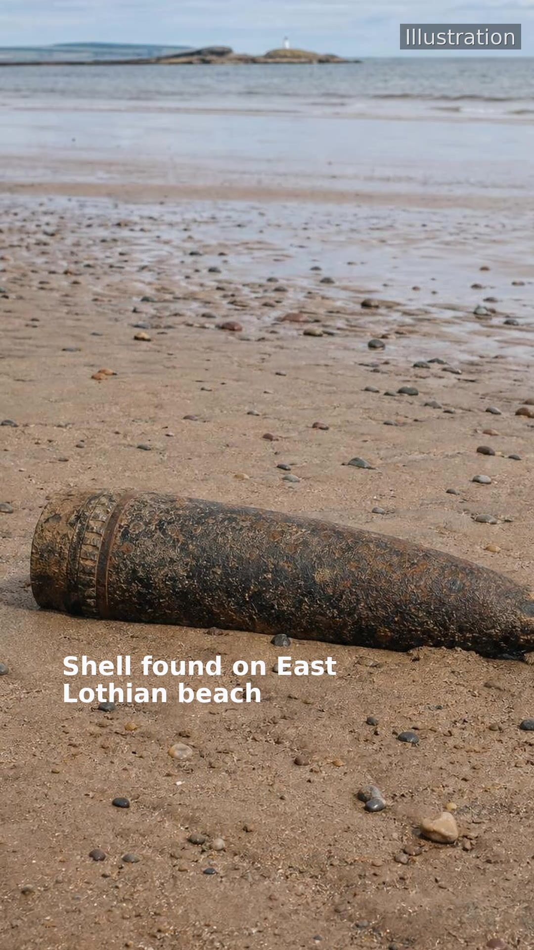 Shell found on East Lothian beach