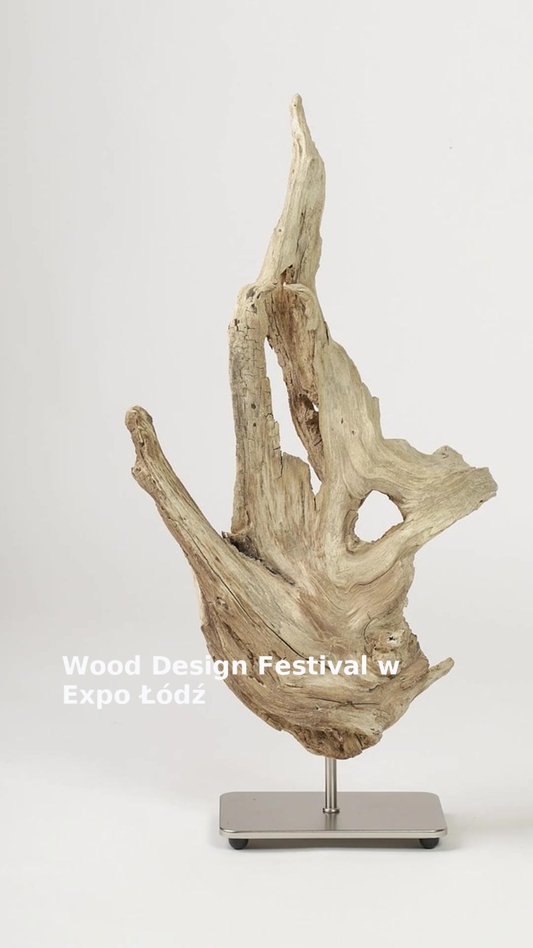 Wood Design Festival w Expo Łódź