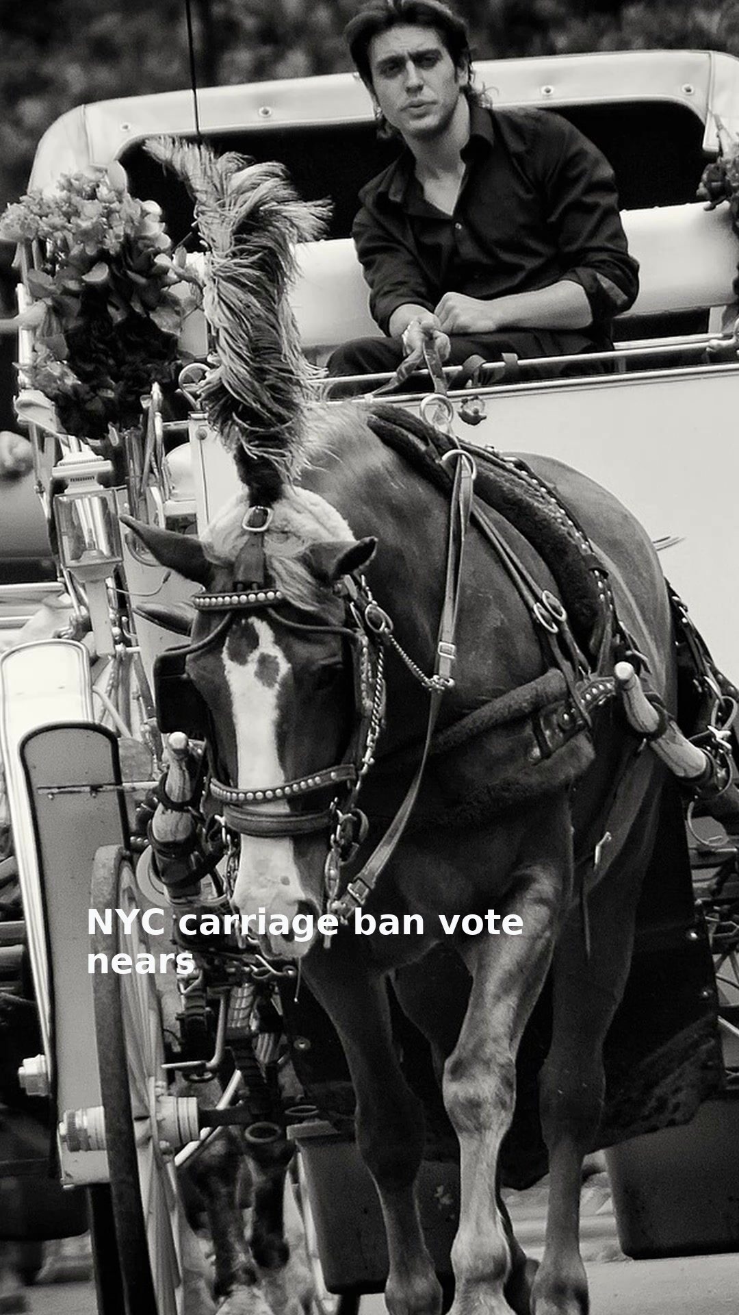NYC carriage ban vote nears