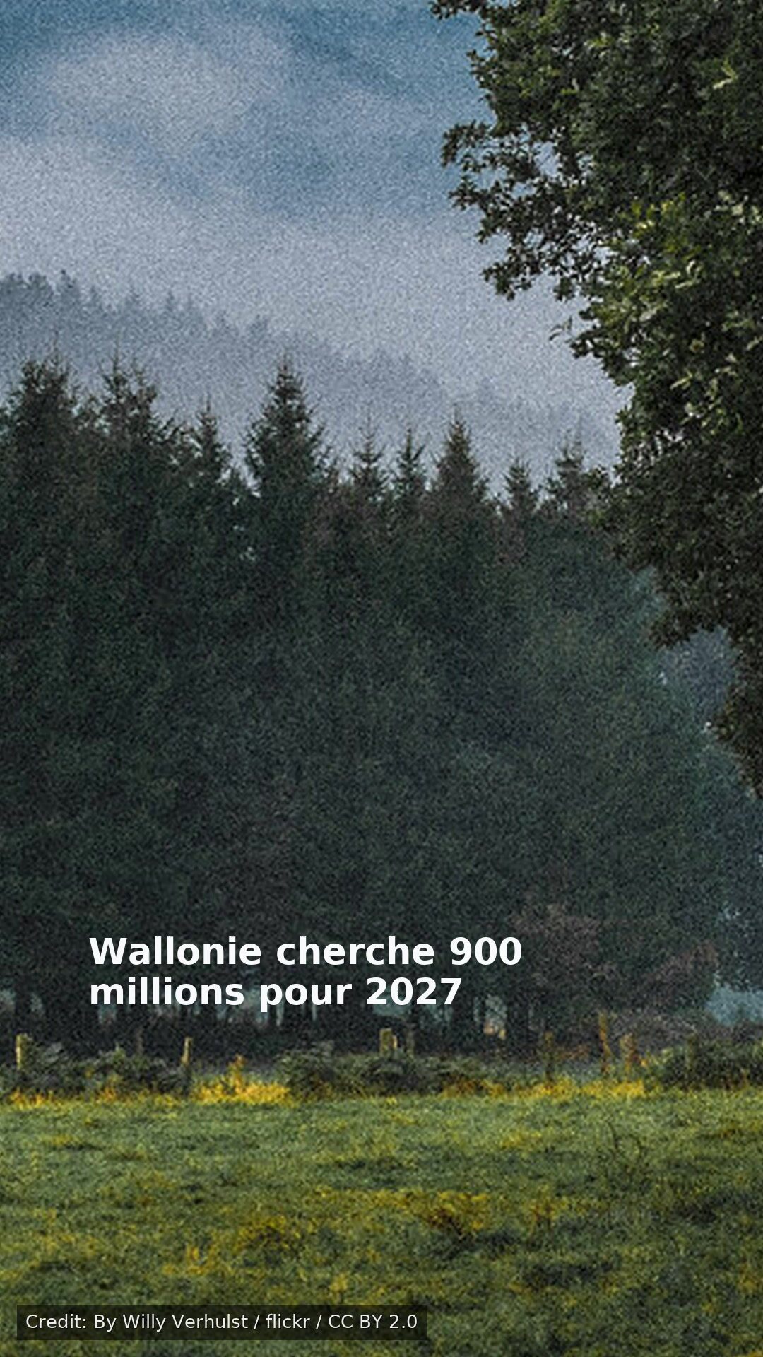 Wallonie cherche 900 millions pour 2027