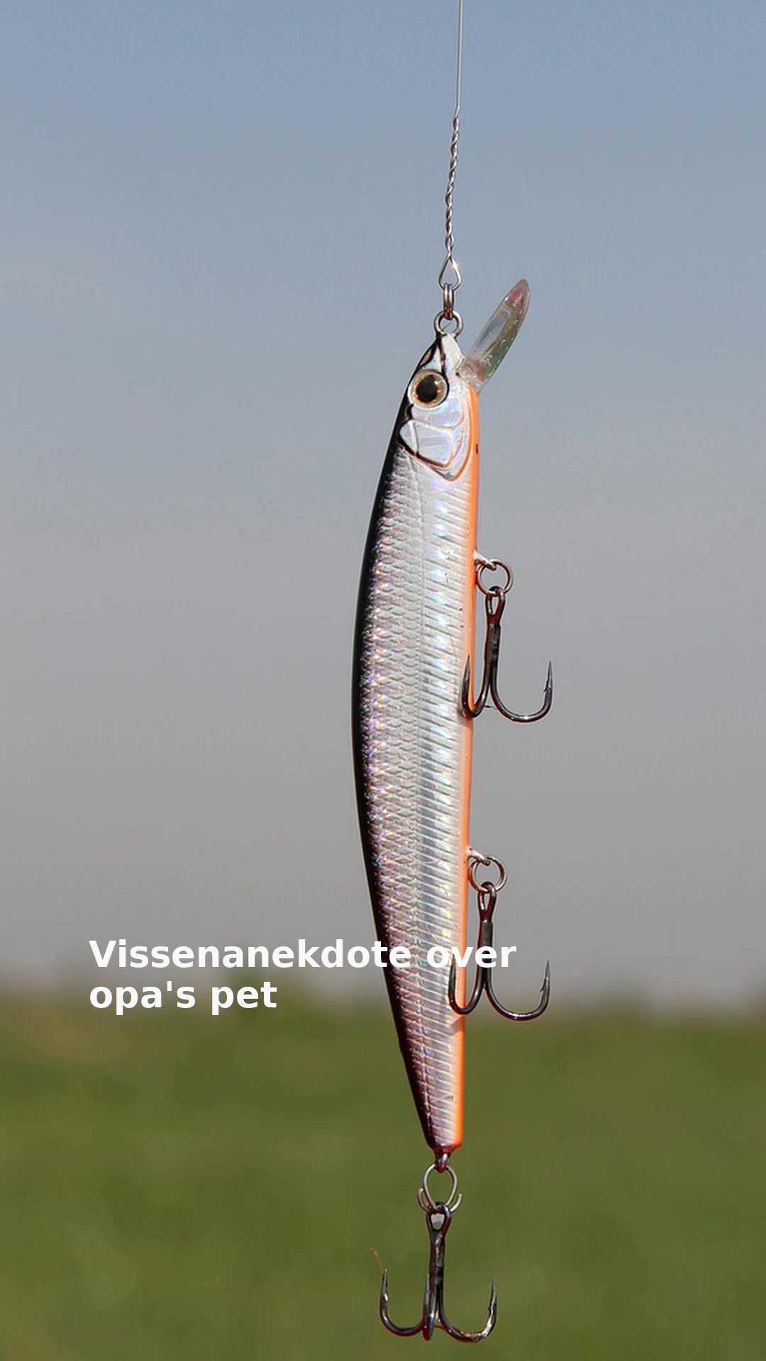 Vissenanekdote over opa's pet