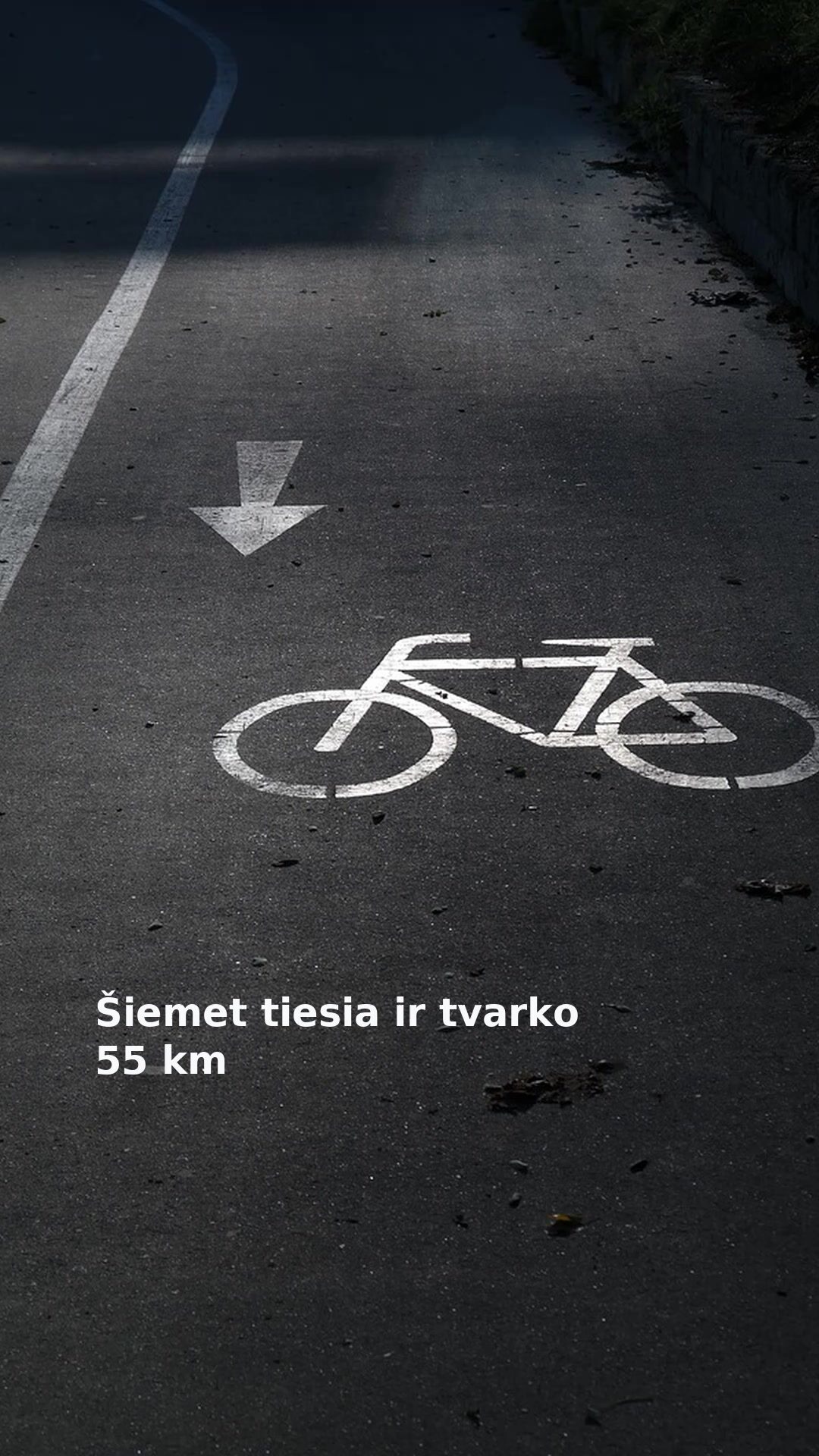 Šiemet tiesia ir tvarko 55 km