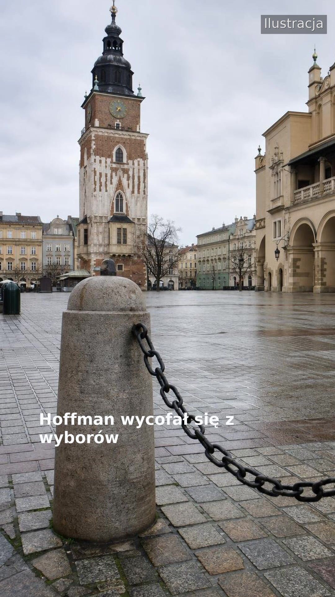 Hoffman wycofał się z wyborów