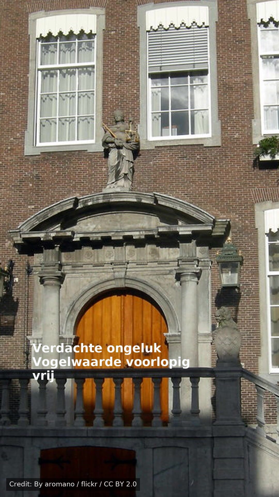 Verdachte ongeluk Vogelwaarde voorlopig vrij