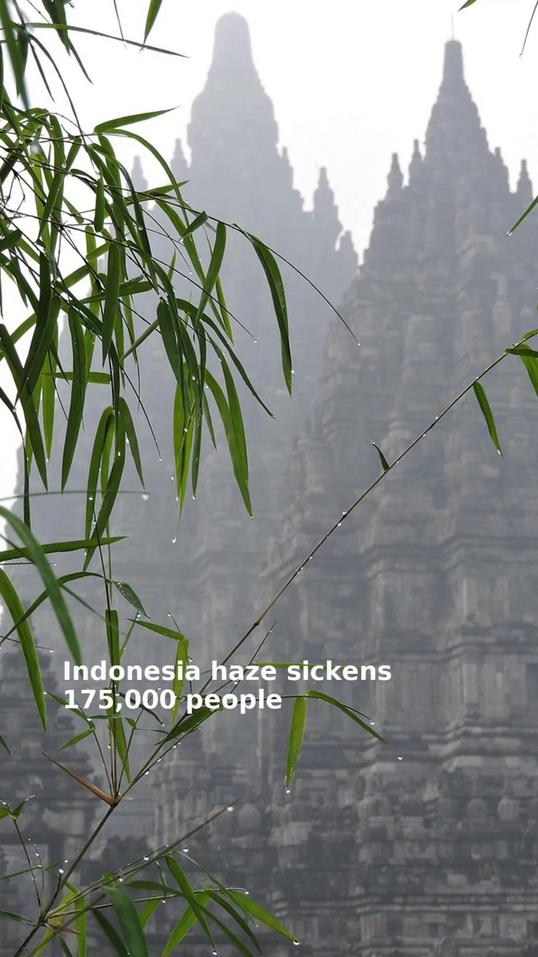 Indonesia haze sickens 175,000 people