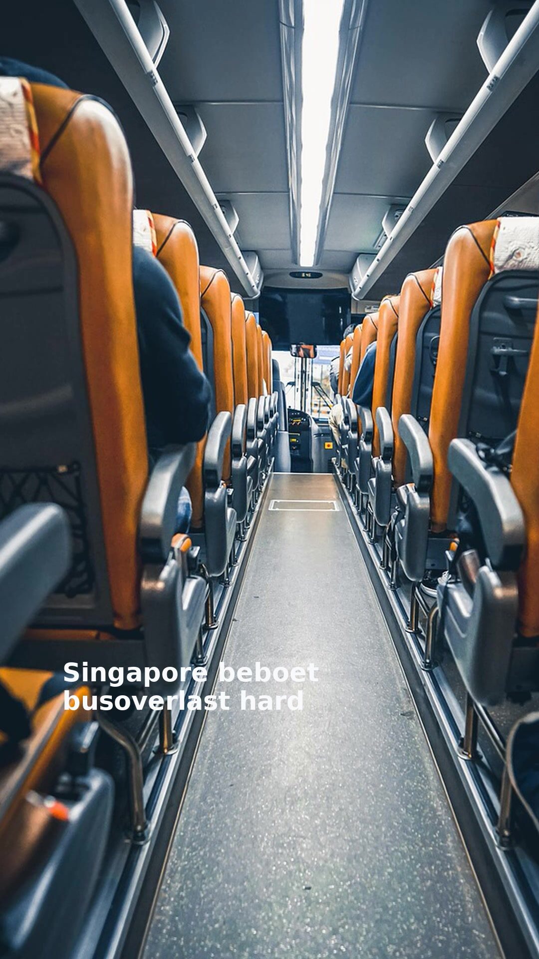 Singapore beboet busoverlast hard