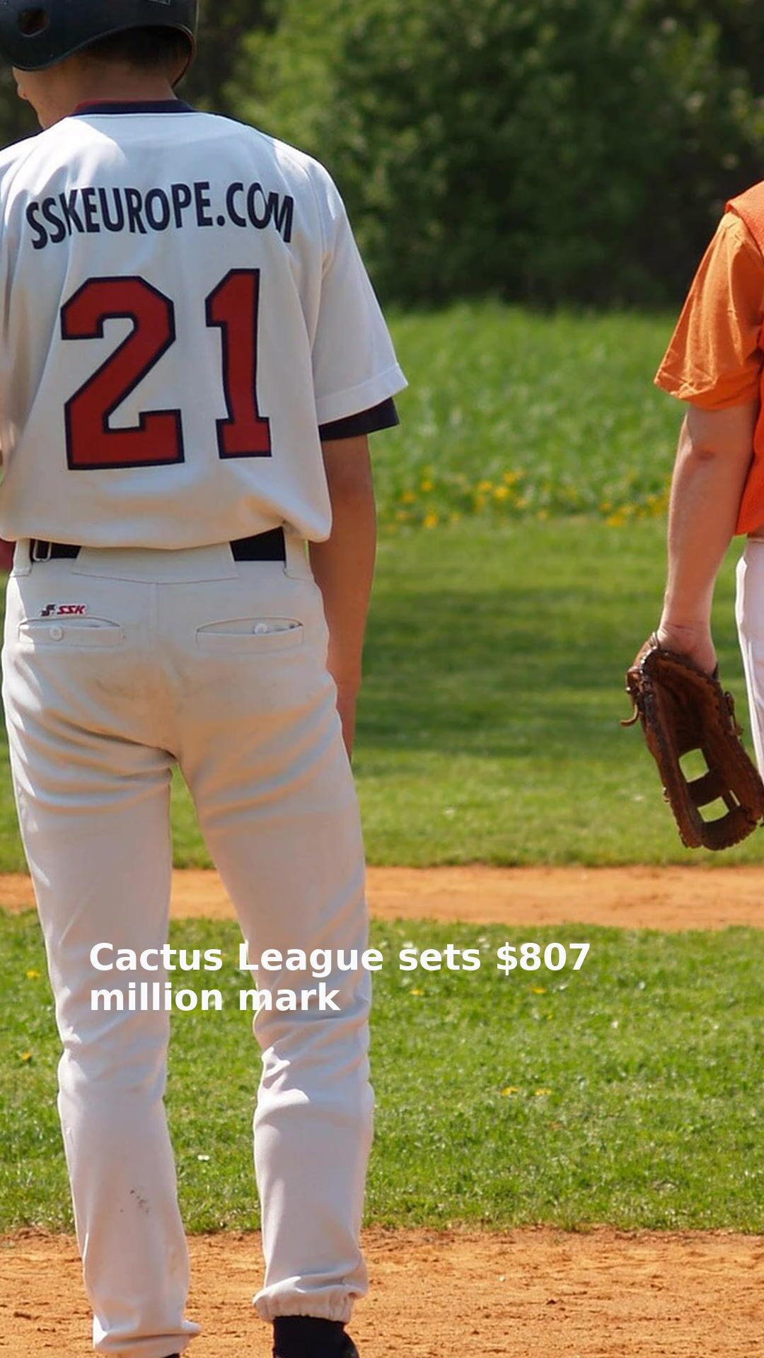 Cactus League sets $807 million mark