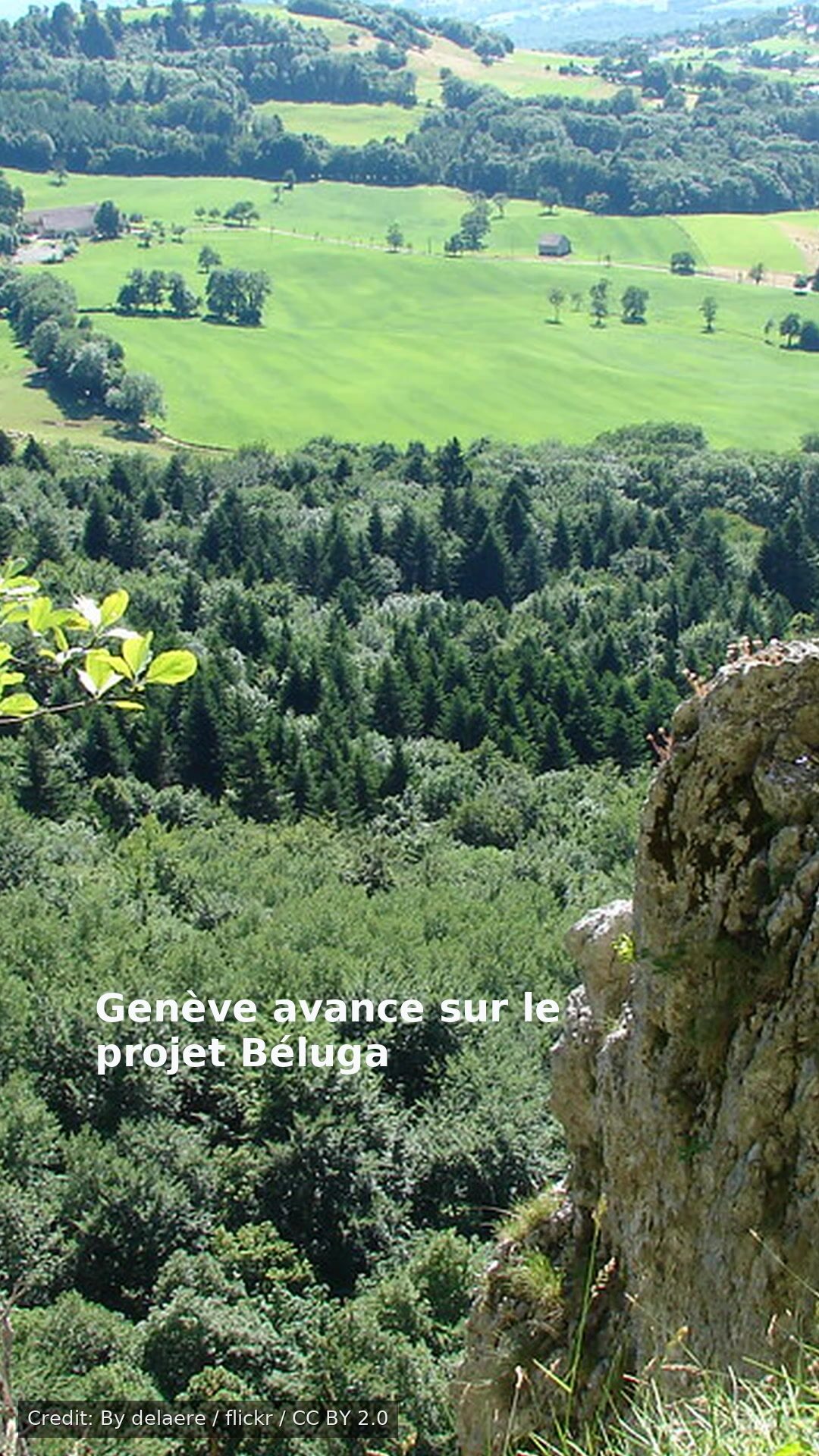 Genève avance sur le projet Béluga