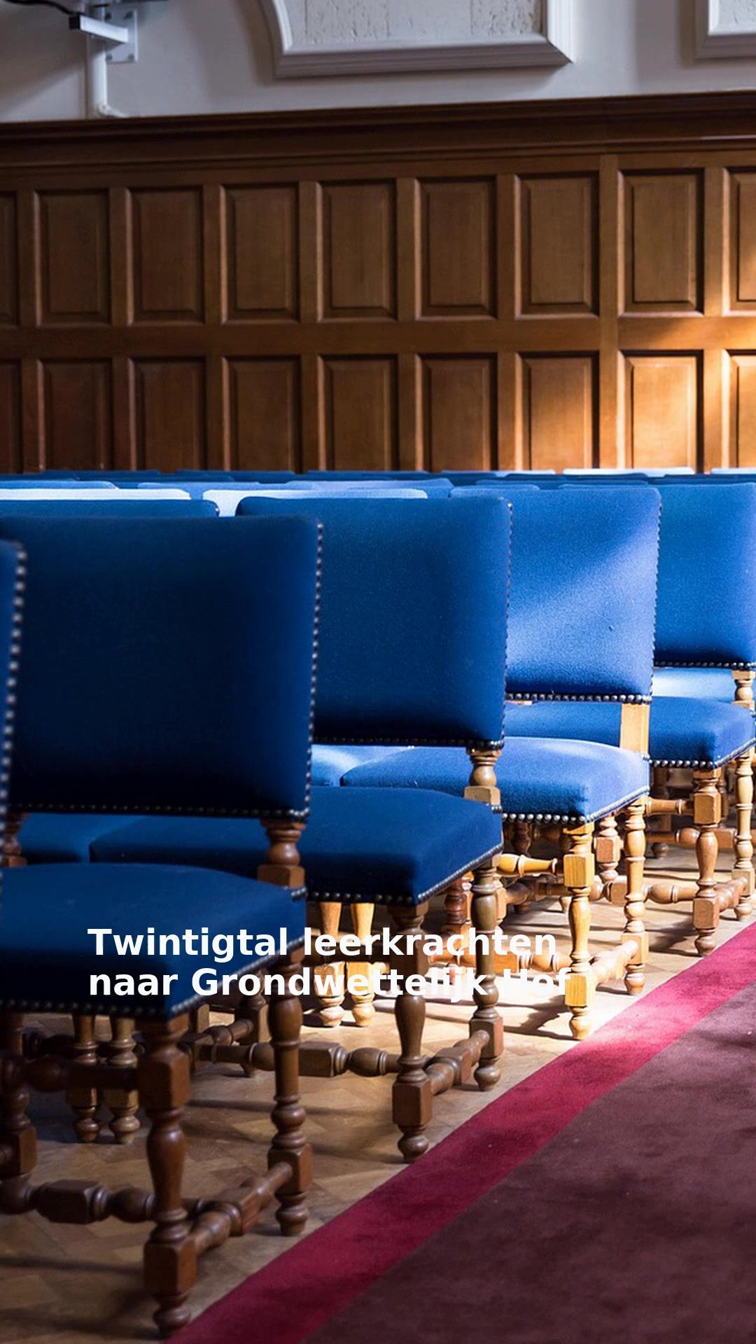 Twintigtal leerkrachten naar Grondwettelijk Hof