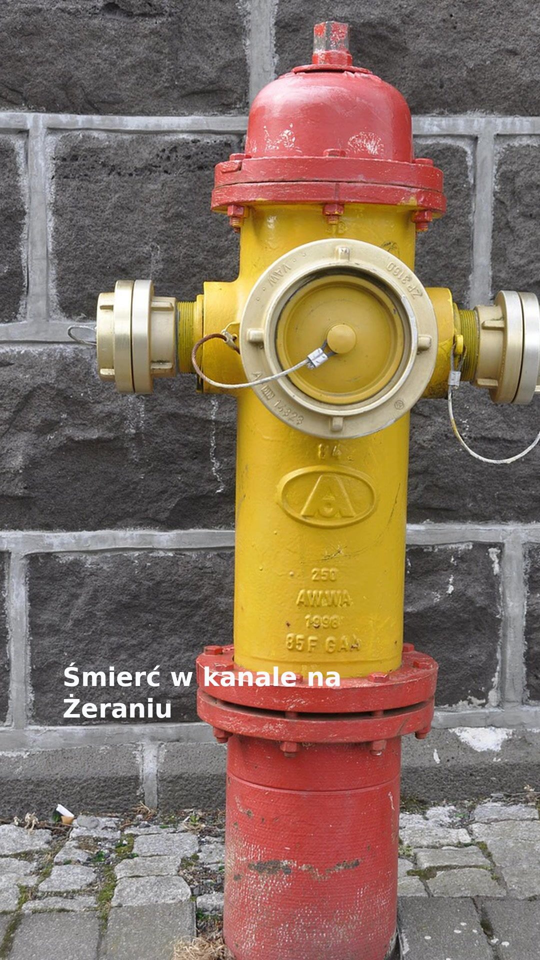 Śmierć w kanale na Żeraniu