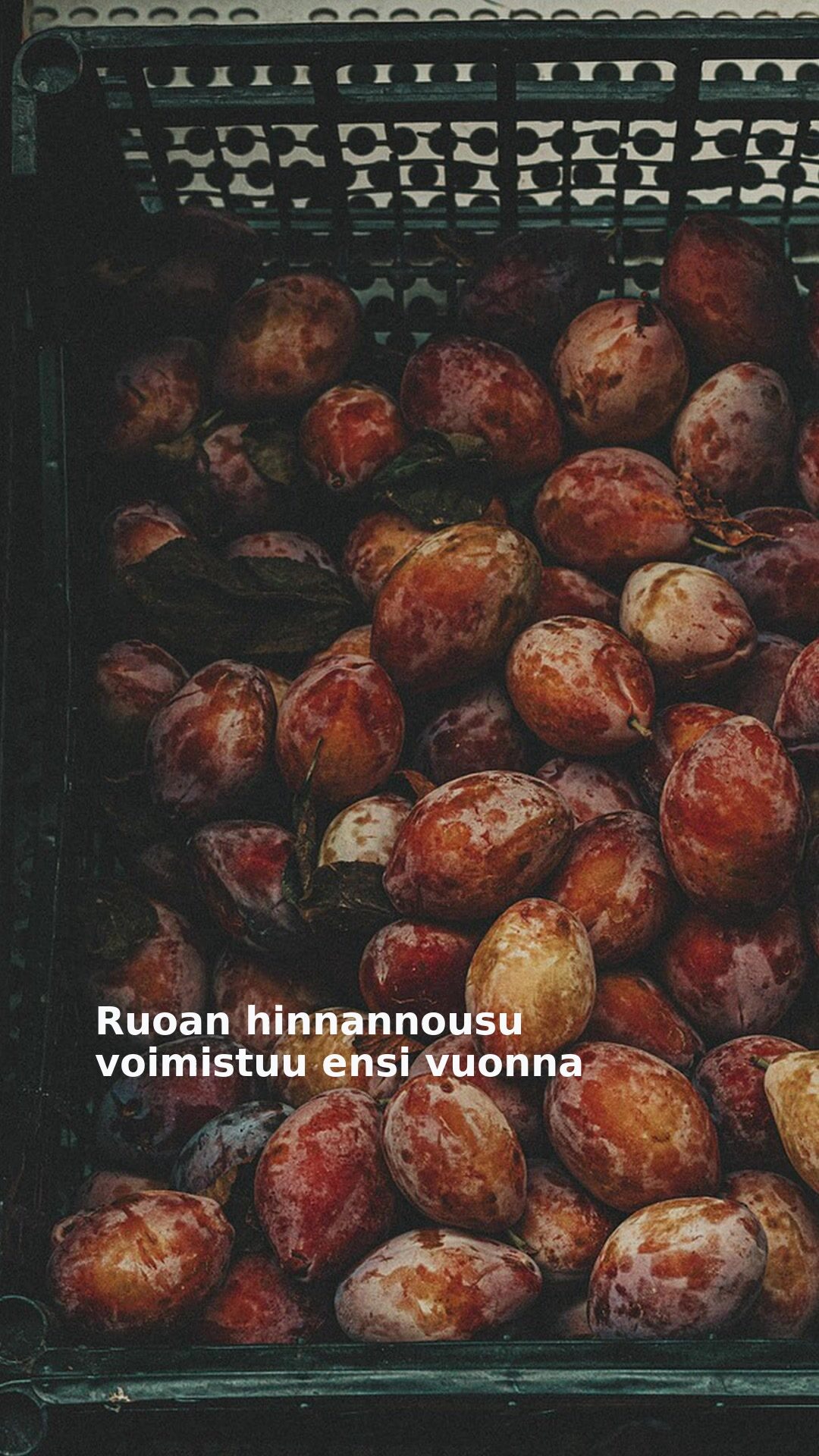 Ruoan hinnannousu voimistuu ensi vuonna