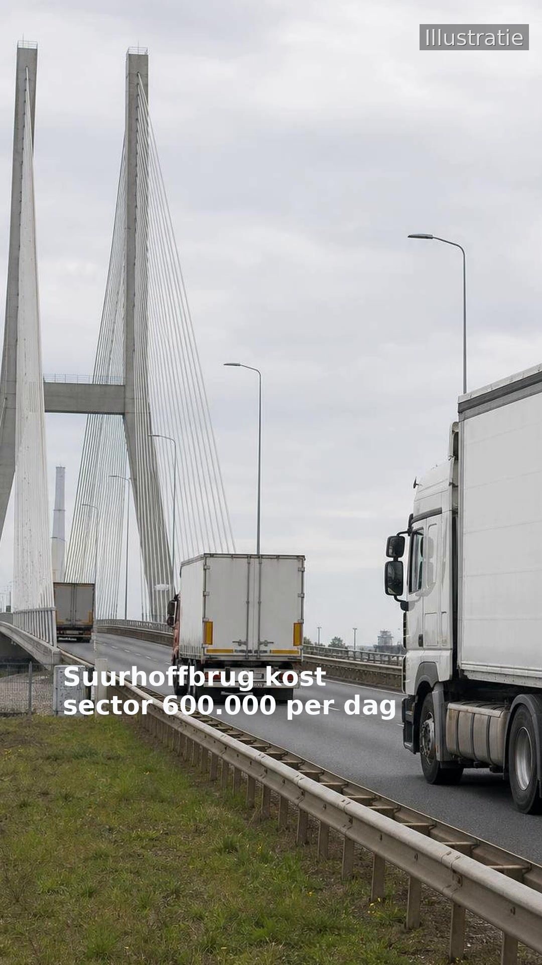 Suurhoffbrug kost sector 600.000 per dag