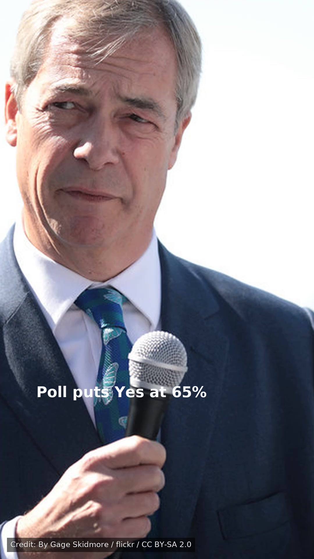 Poll puts Yes at 65%