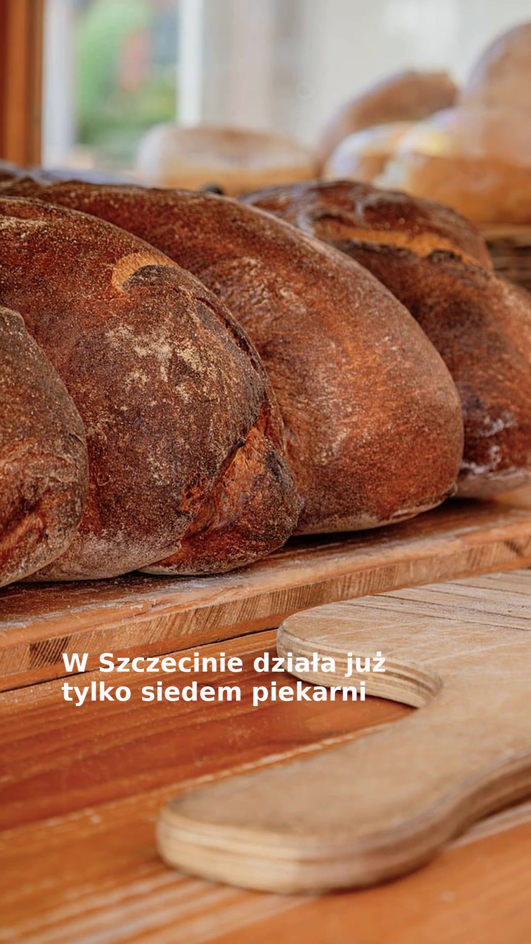 W Szczecinie działa już tylko siedem piekarni
