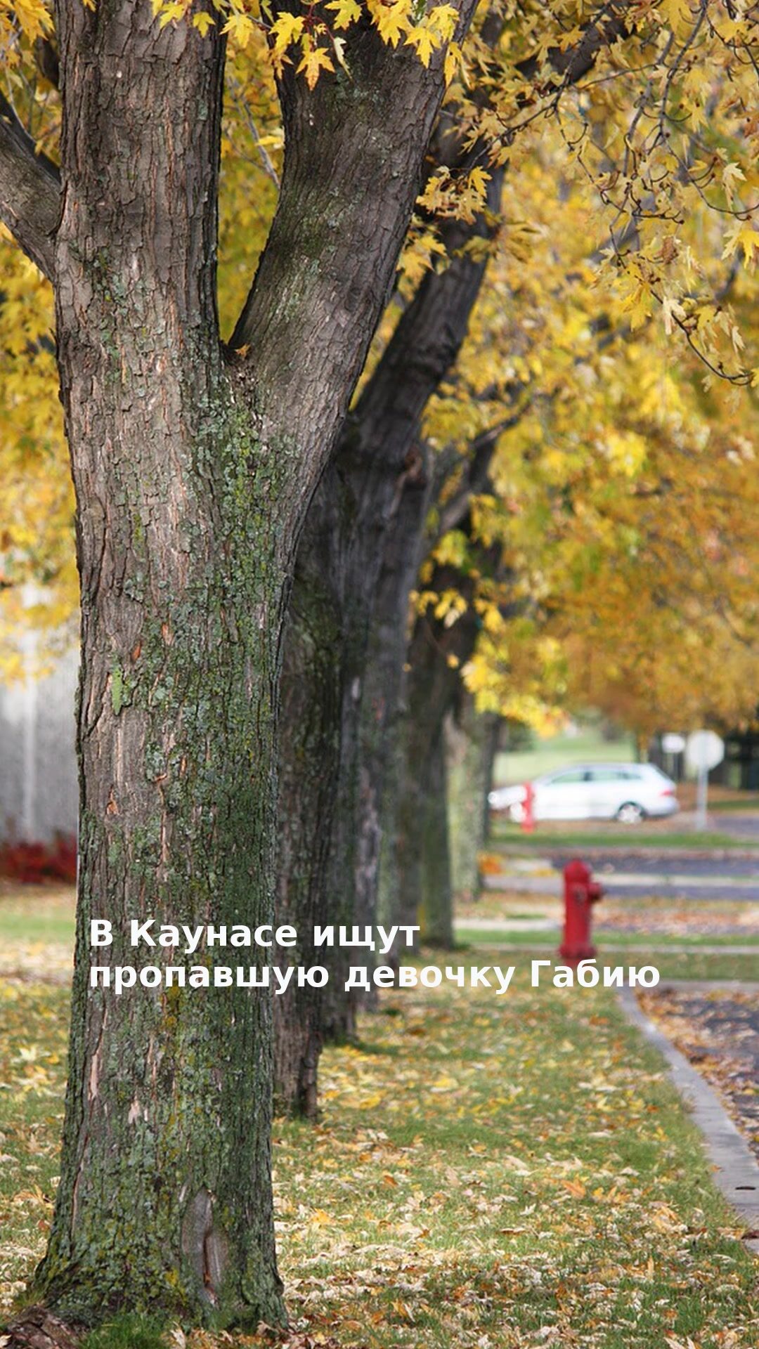 В Каунасе ищут пропавшую девочку Габию
