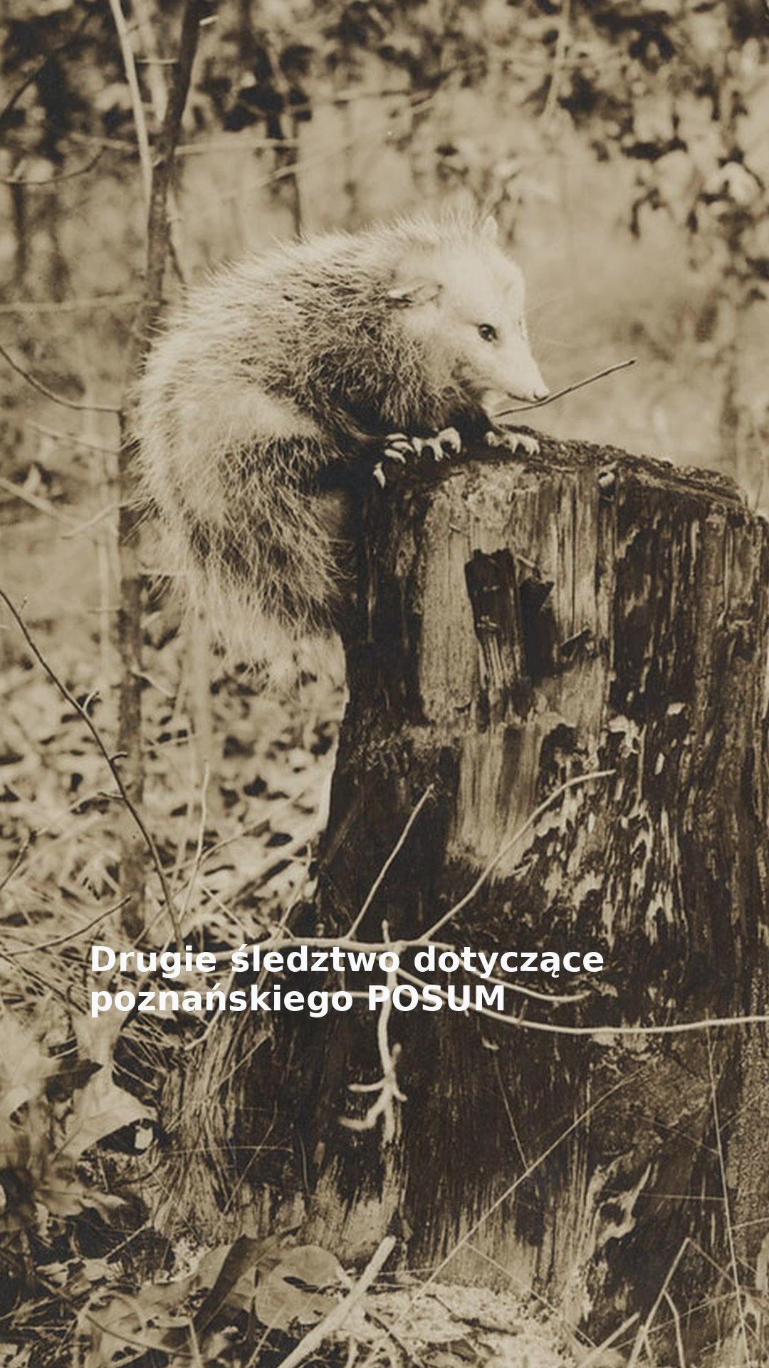 Drugie śledztwo dotyczące poznańskiego POSUM