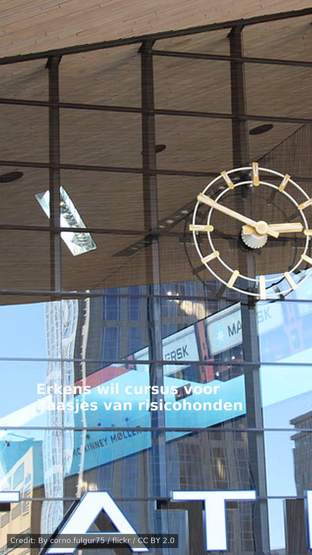 Erkens wil cursus voor baasjes van risicohonden