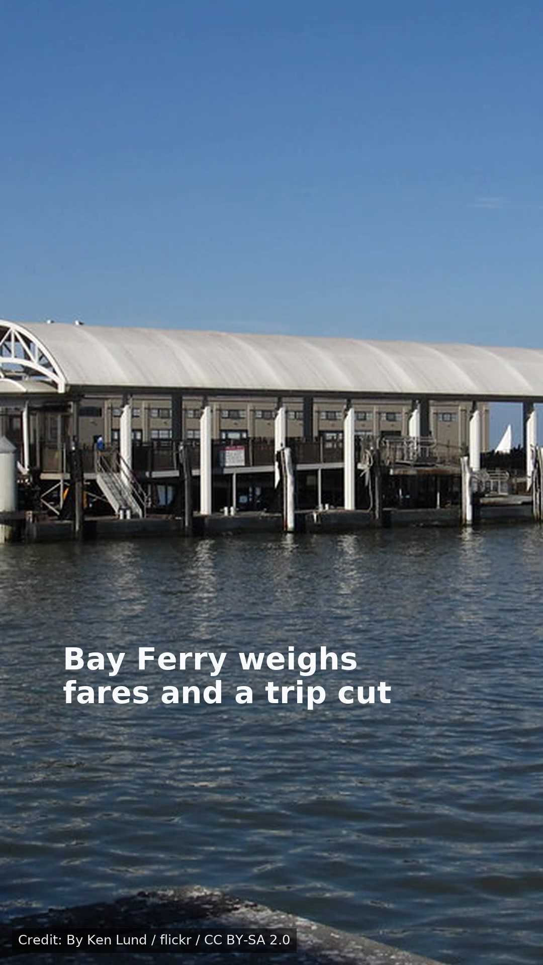 Bay Ferry weighs fares and a trip cut