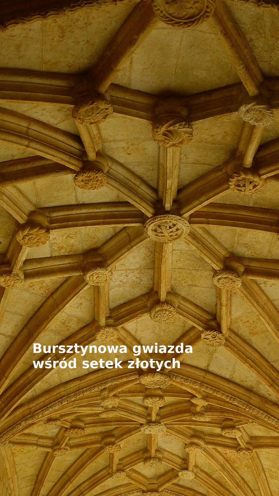 Bursztynowa gwiazda wśród setek złotych