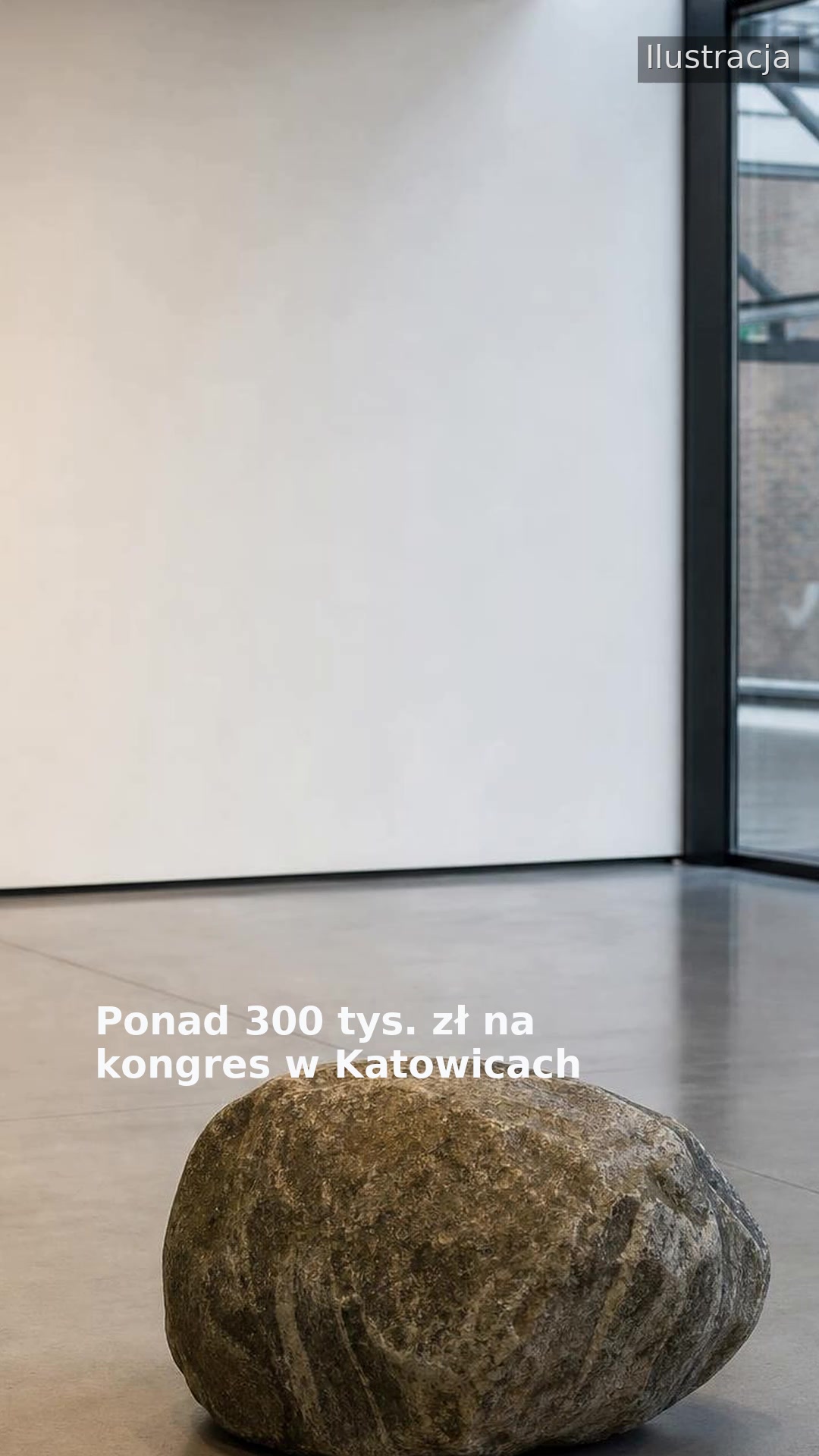 Ponad 300 tys. zł na kongres w Katowicach