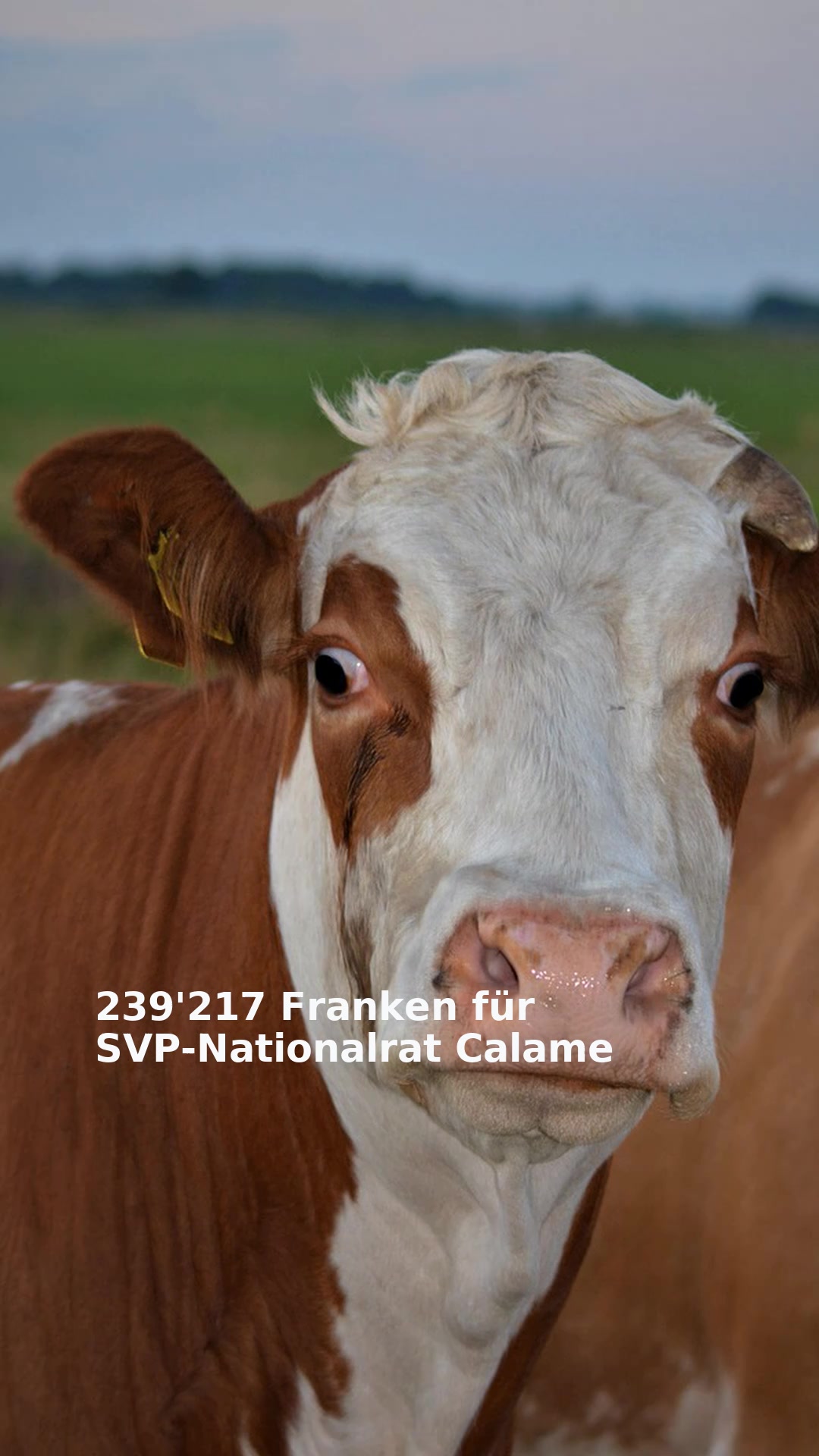 239'217 Franken für SVP-Nationalrat Calame