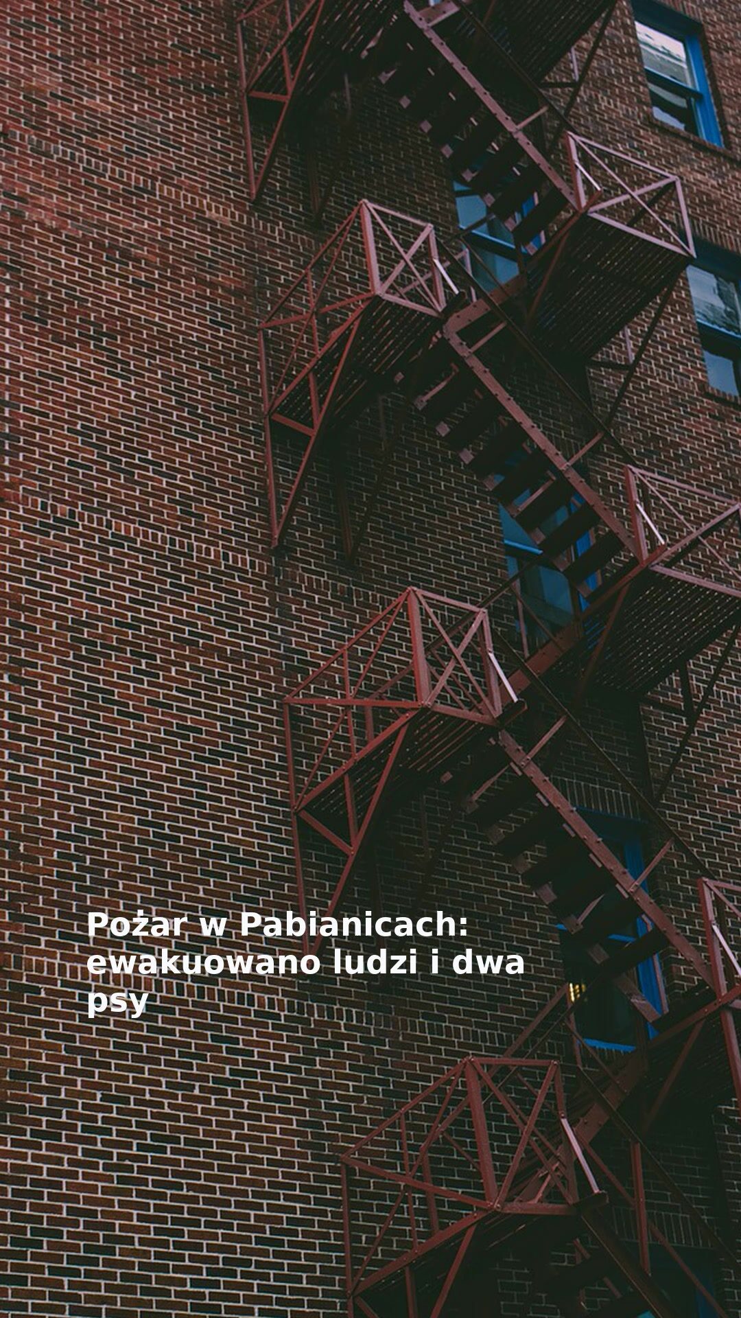 Pożar w Pabianicach: ewakuowano ludzi i dwa psy