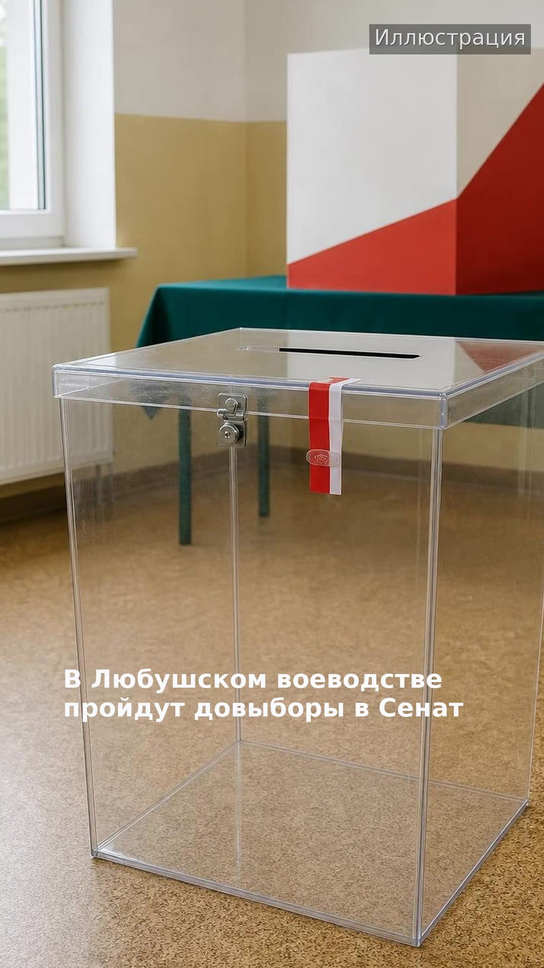 В Любушском воеводстве пройдут довыборы в Сенат