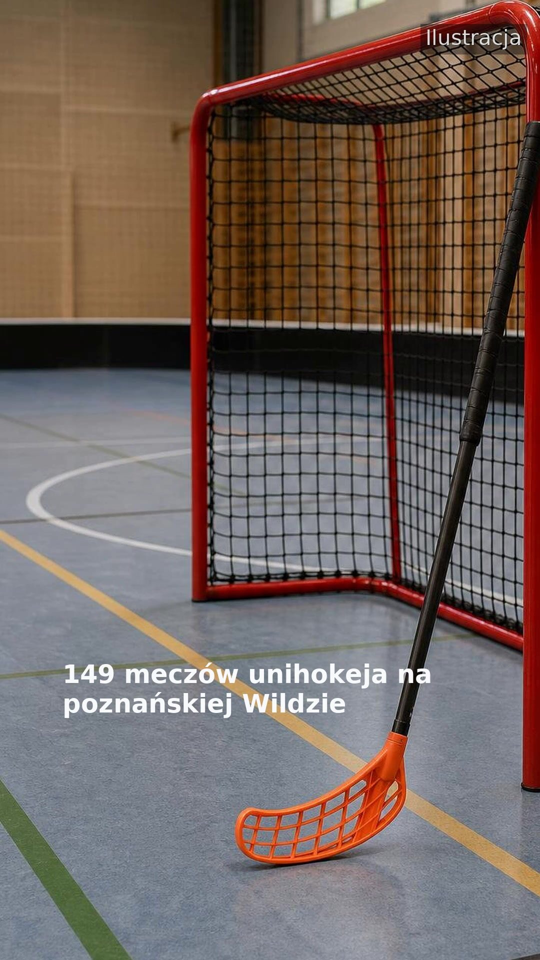149 meczów unihokeja na poznańskiej Wildzie